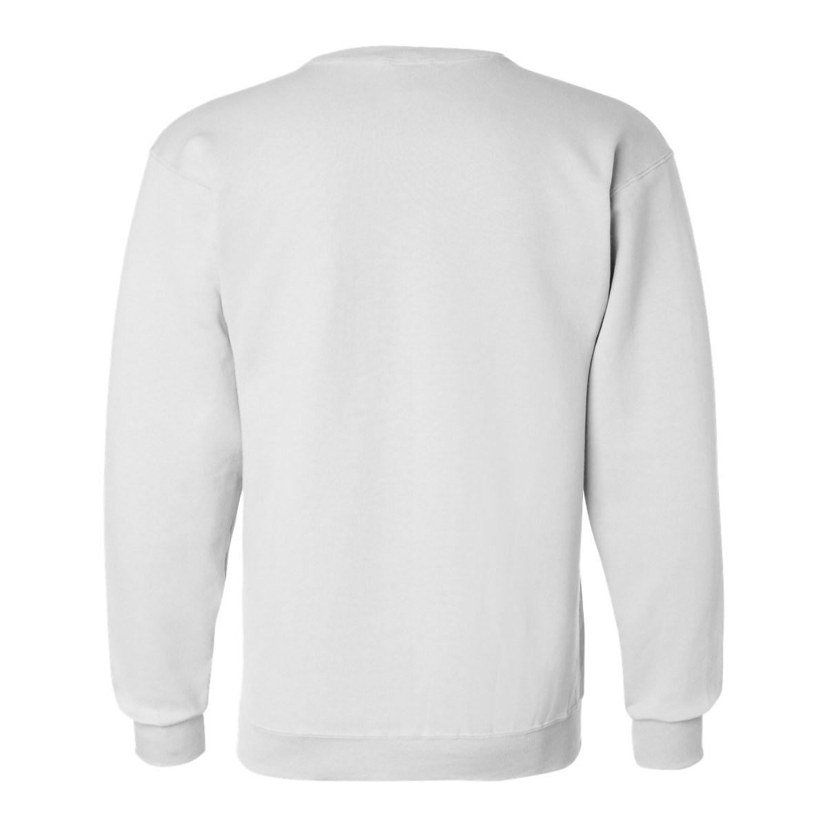 Picture of Champion Double Dry Eco Crewneck Sweatshirt