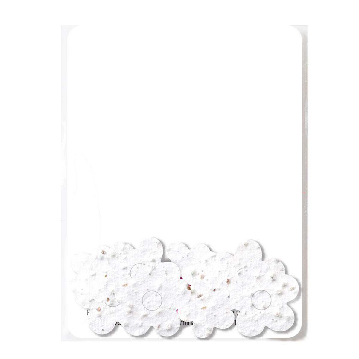 Picture of Bloomin® Seed Paper Confetti Gift Pack