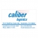 Picture of Business Card Magnet