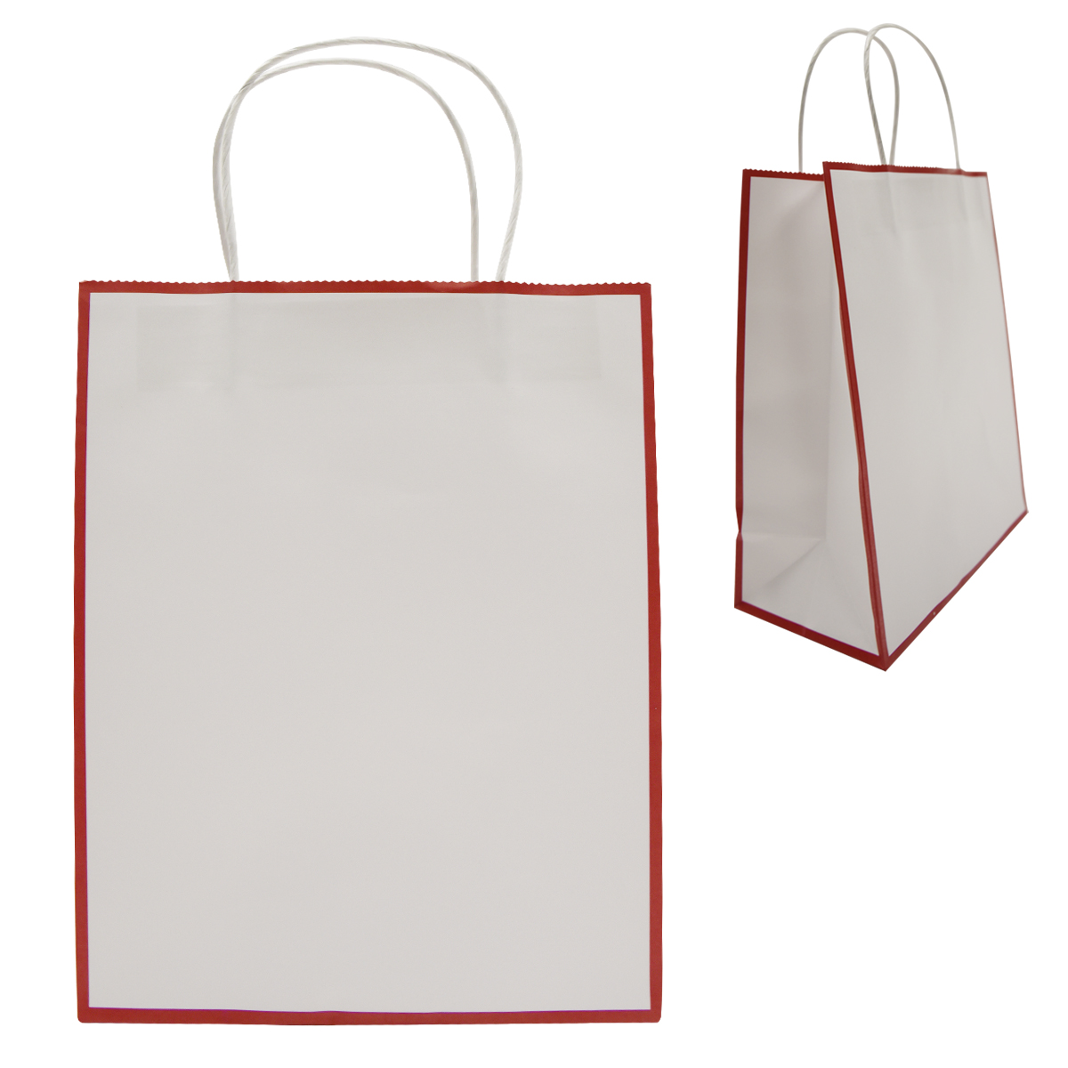 Picture of Laminated Paper Gift Bag
