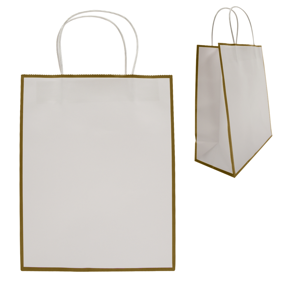 Picture of Laminated Paper Gift Bag