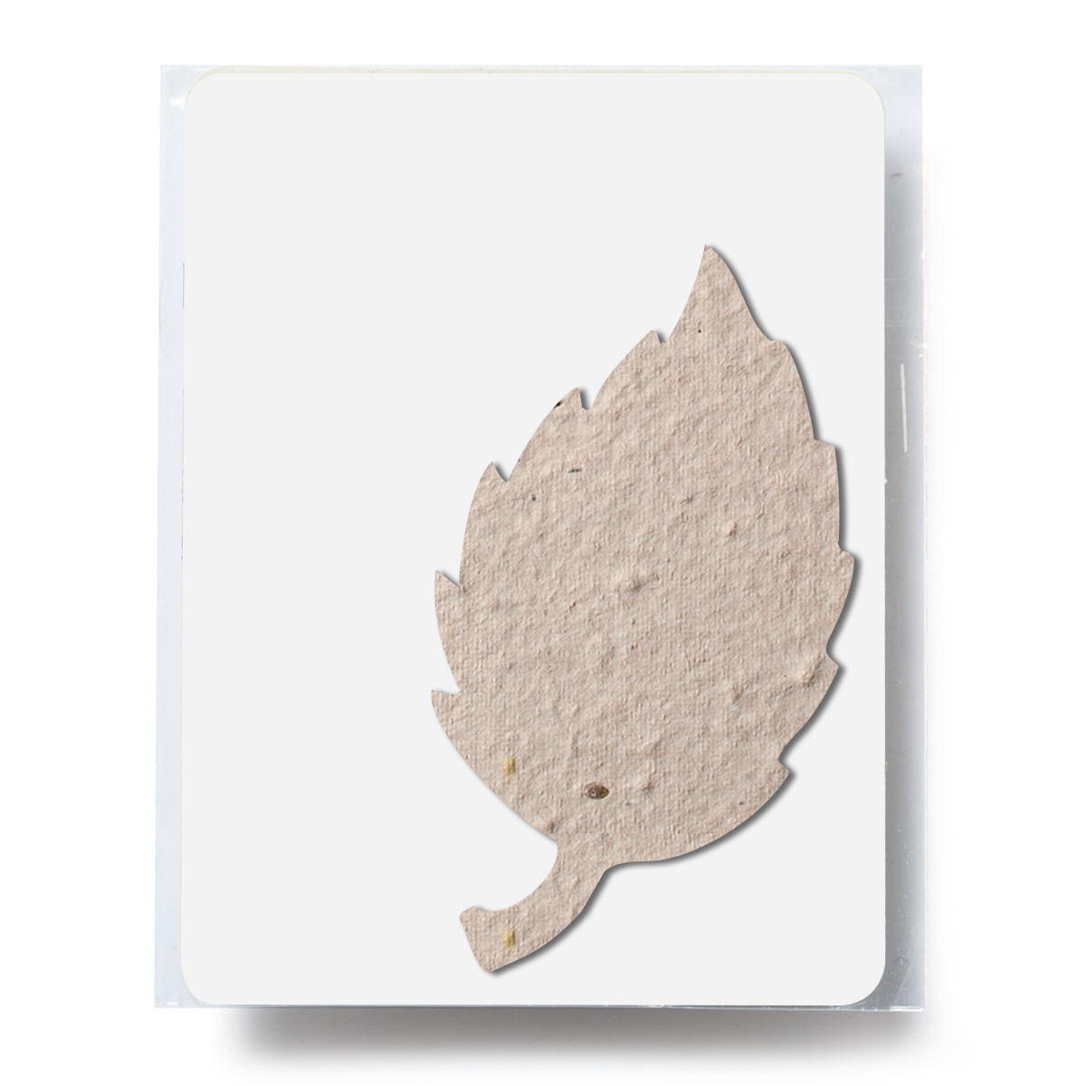 Picture of Bloomin® Aspen Shaped Plantable Gift Pack