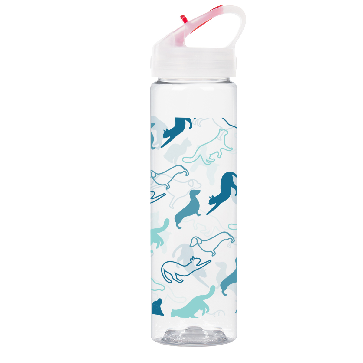 Picture of 25 Oz. Full Color Brooks Bottle