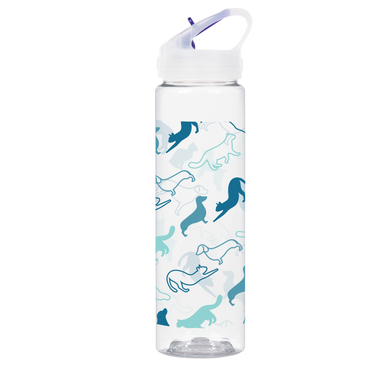 Picture of 25 Oz. Full Color Brooks Bottle