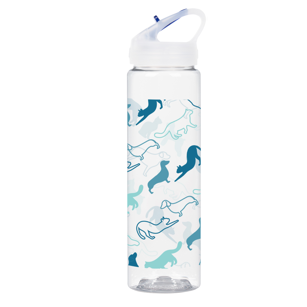 Picture of 25 Oz. Full Color Brooks Bottle