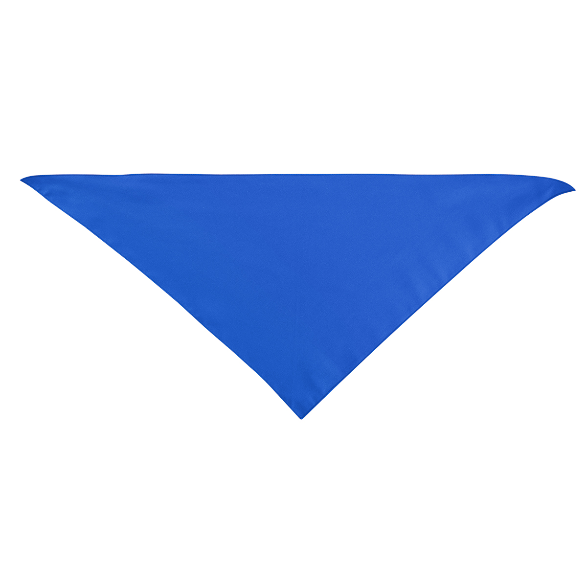 Picture of Large Triangle Rpet Pet Bandana