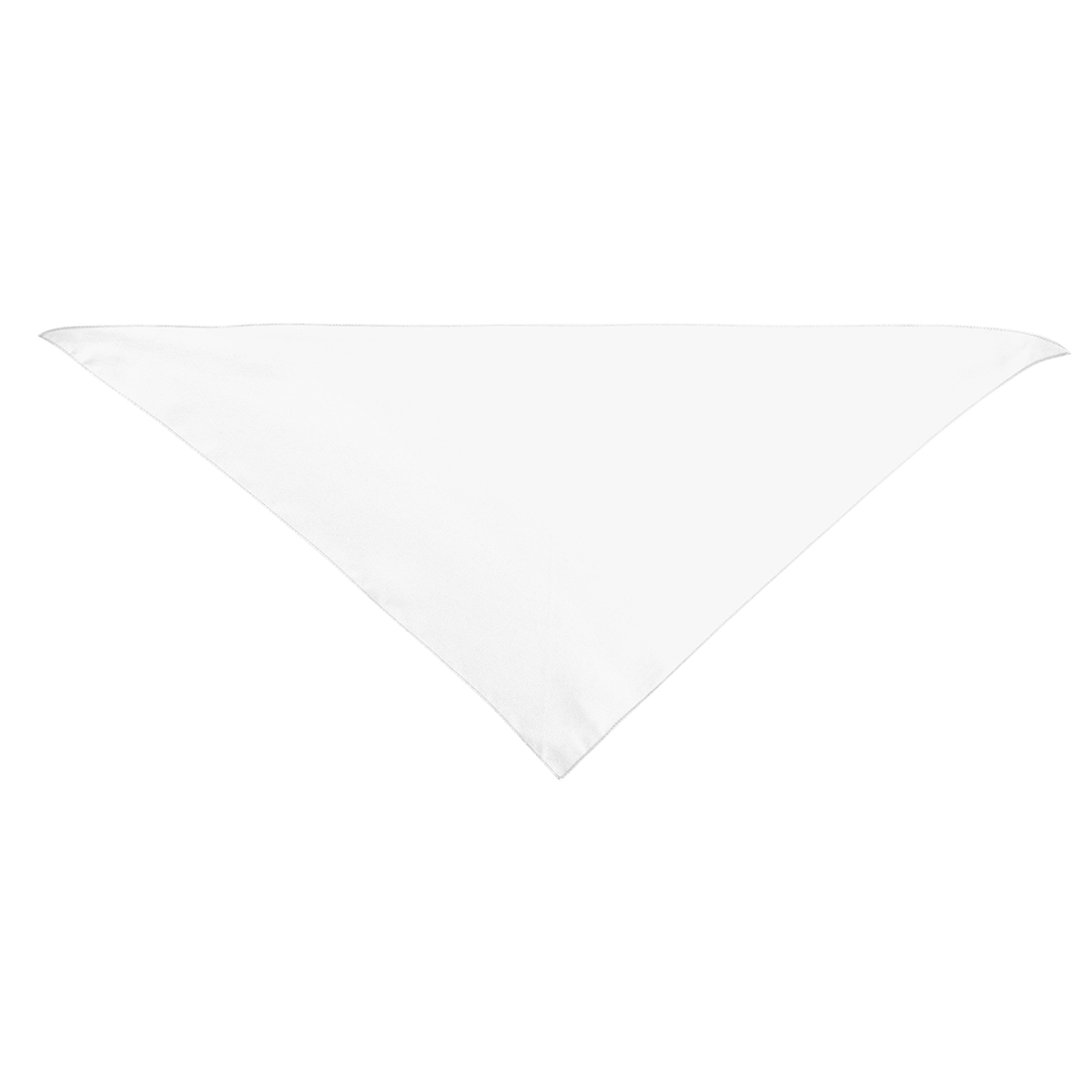 Picture of Large Triangle Rpet Pet Bandana
