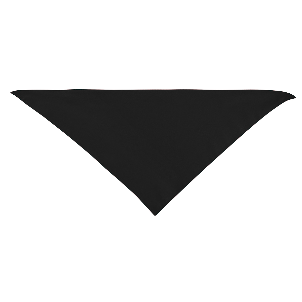 Picture of Large Triangle Rpet Pet Bandana