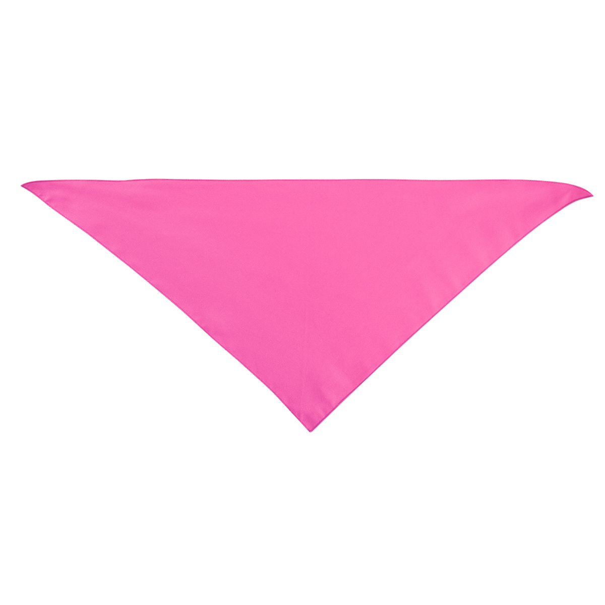Picture of Large Triangle Rpet Pet Bandana