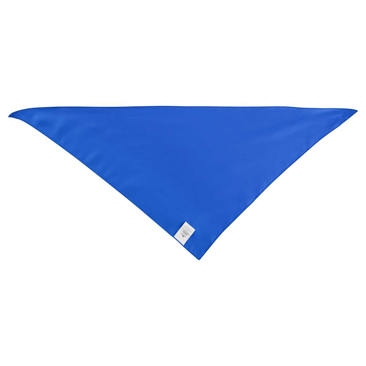 Picture of Large Triangle Rpet Pet Bandana