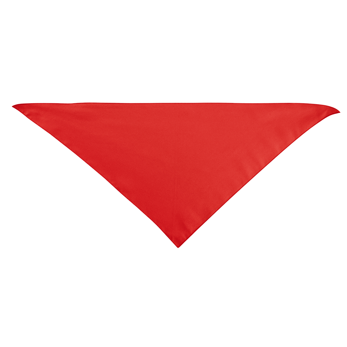 Picture of Large Triangle Rpet Pet Bandana
