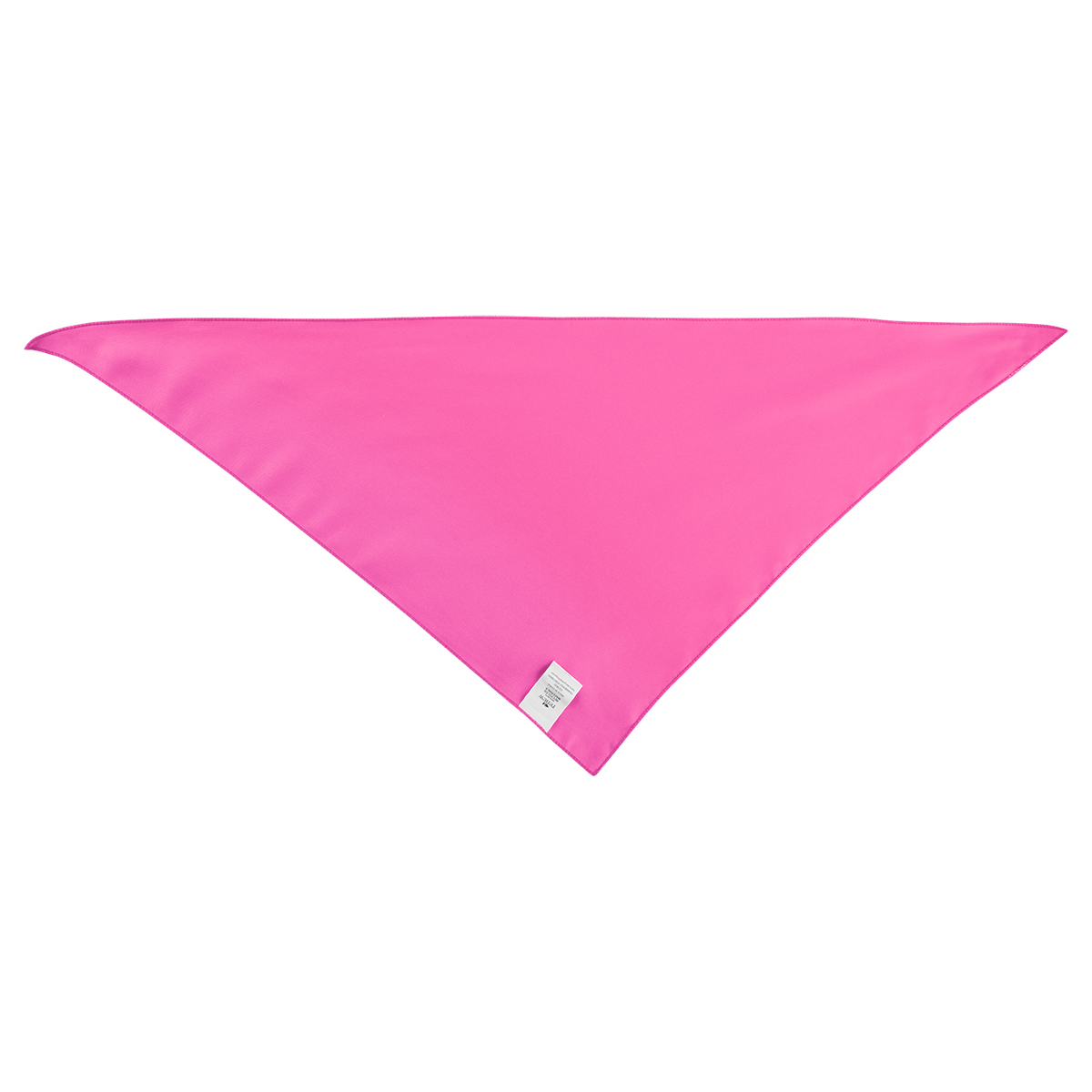 Picture of Large Triangle Rpet Pet Bandana