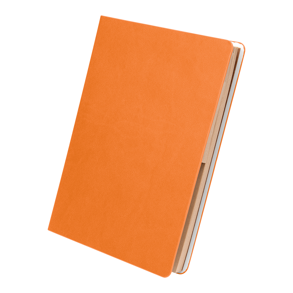 Picture of Theo Notebook With Kraft Paper And Sticky Notes