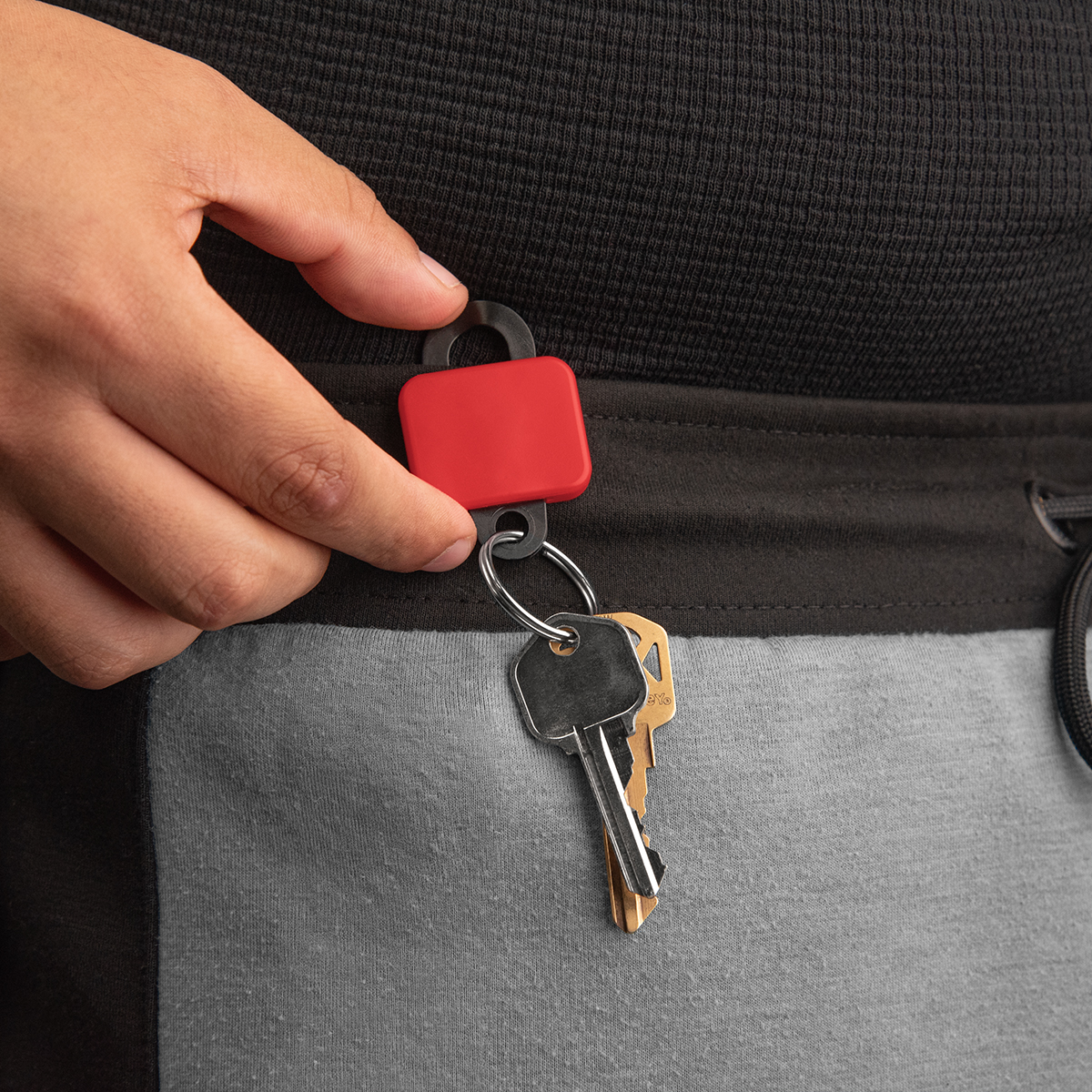 Picture of Clipster Key Tag
