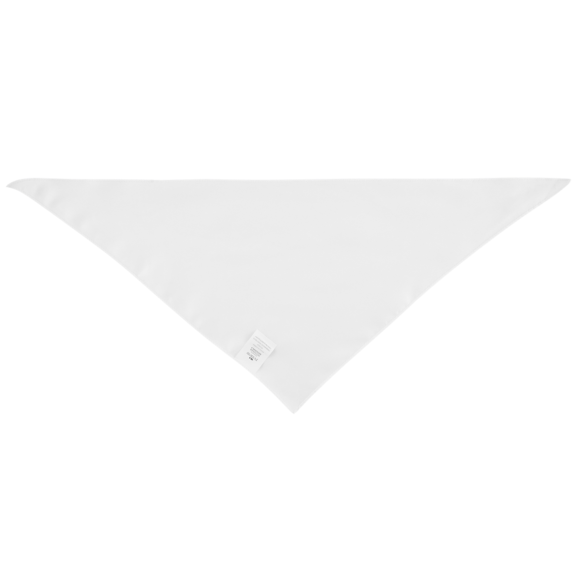 Picture of Full Color Small Triangle Rpet Pet Bandana