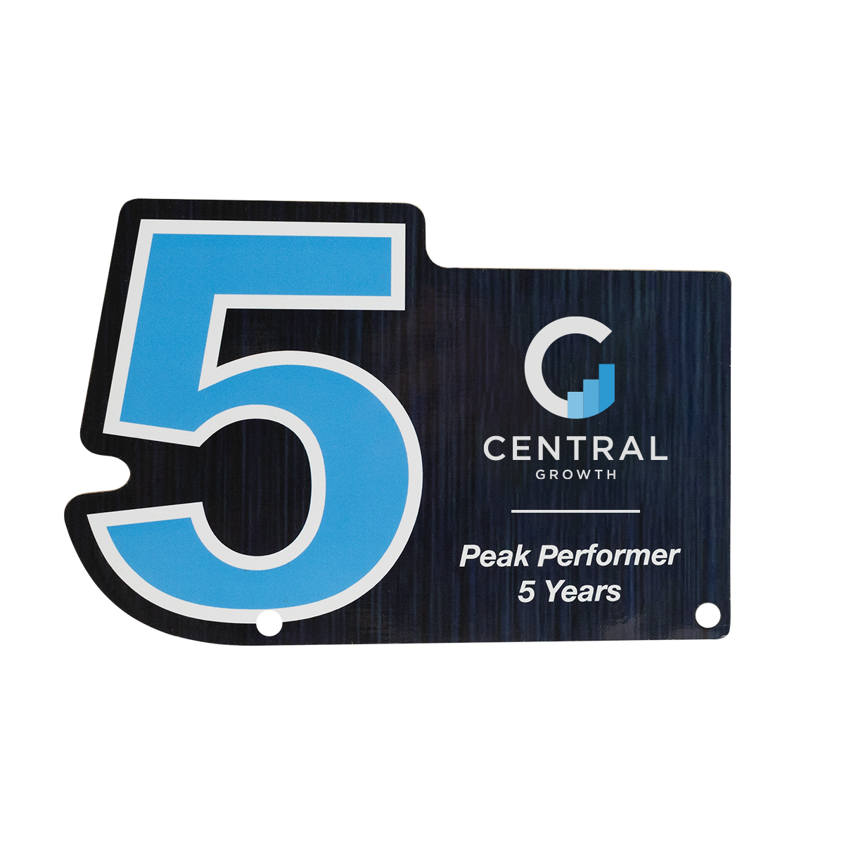 Picture of Acrylic Award - Custom Shape 10"