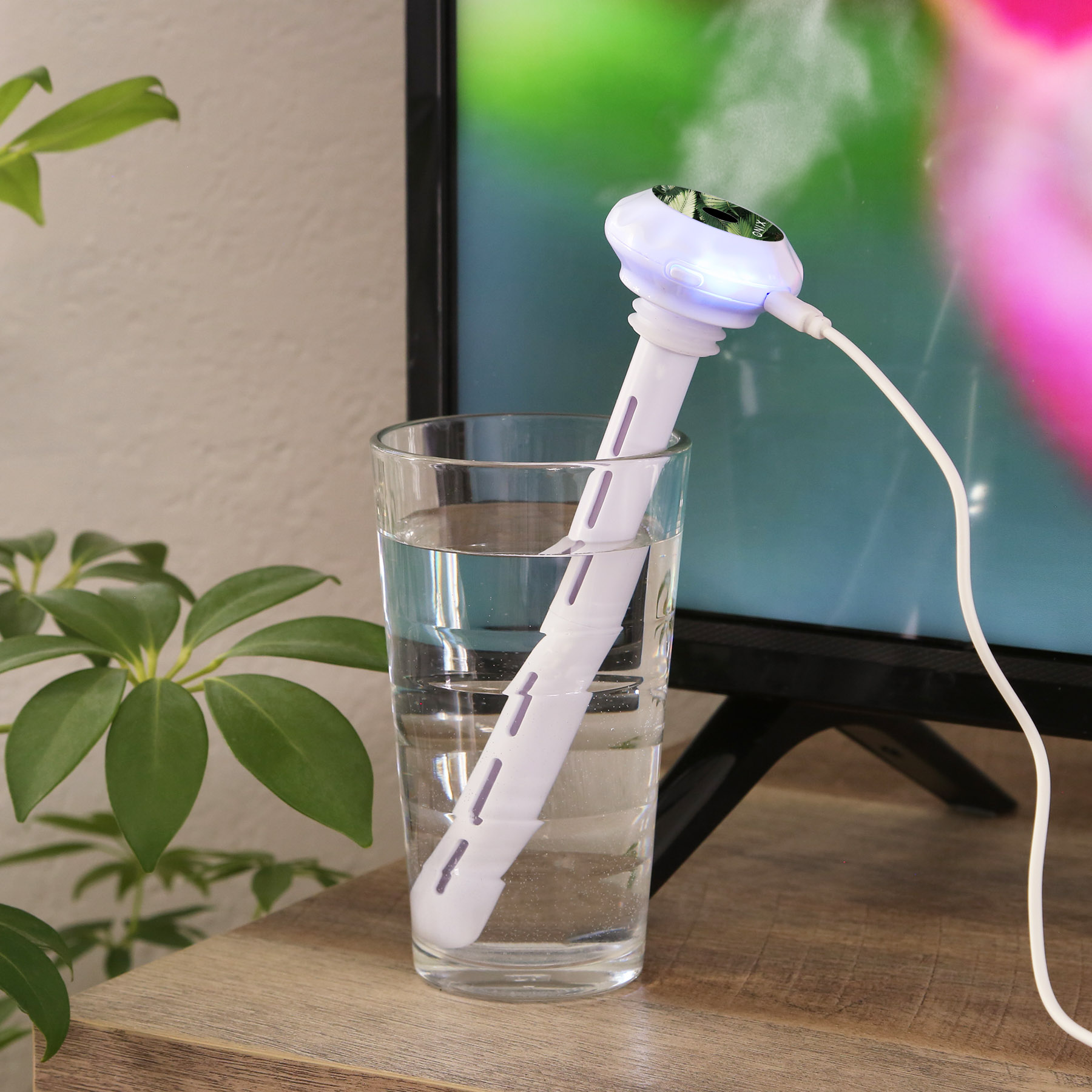 Picture of Mr. Mister Humidifier