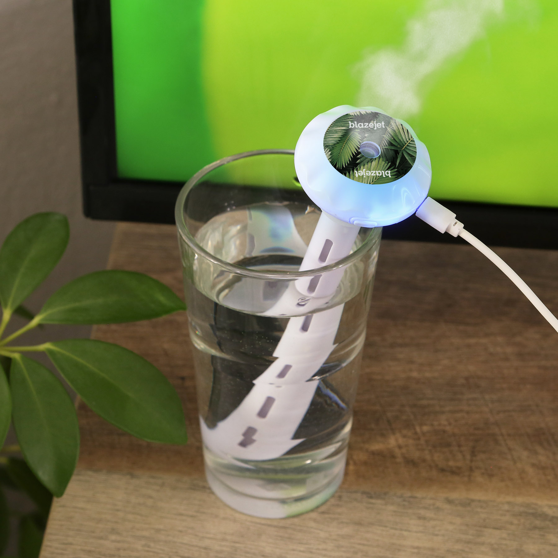 Picture of Mr. Mister Humidifier