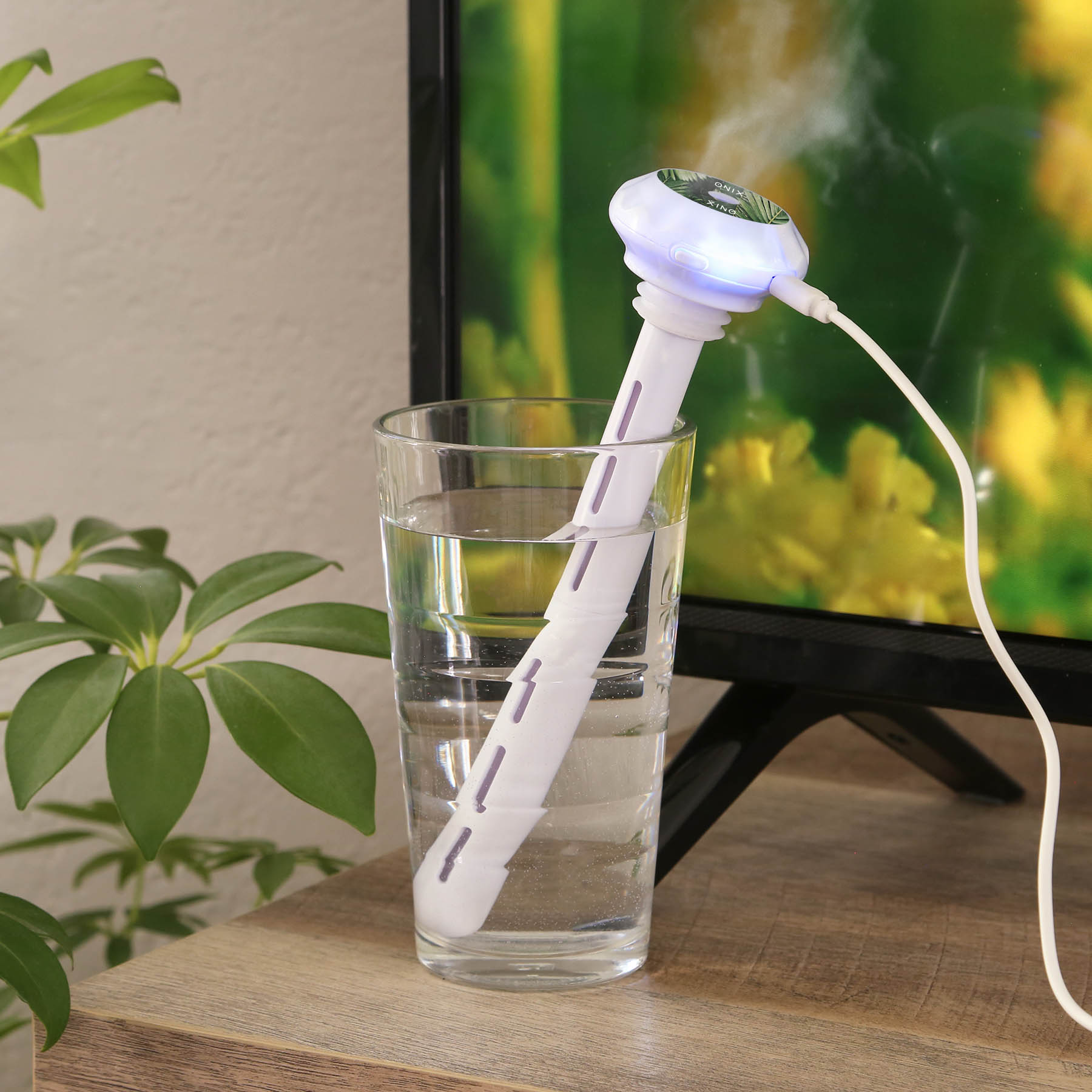 Picture of Mr. Mister Humidifier