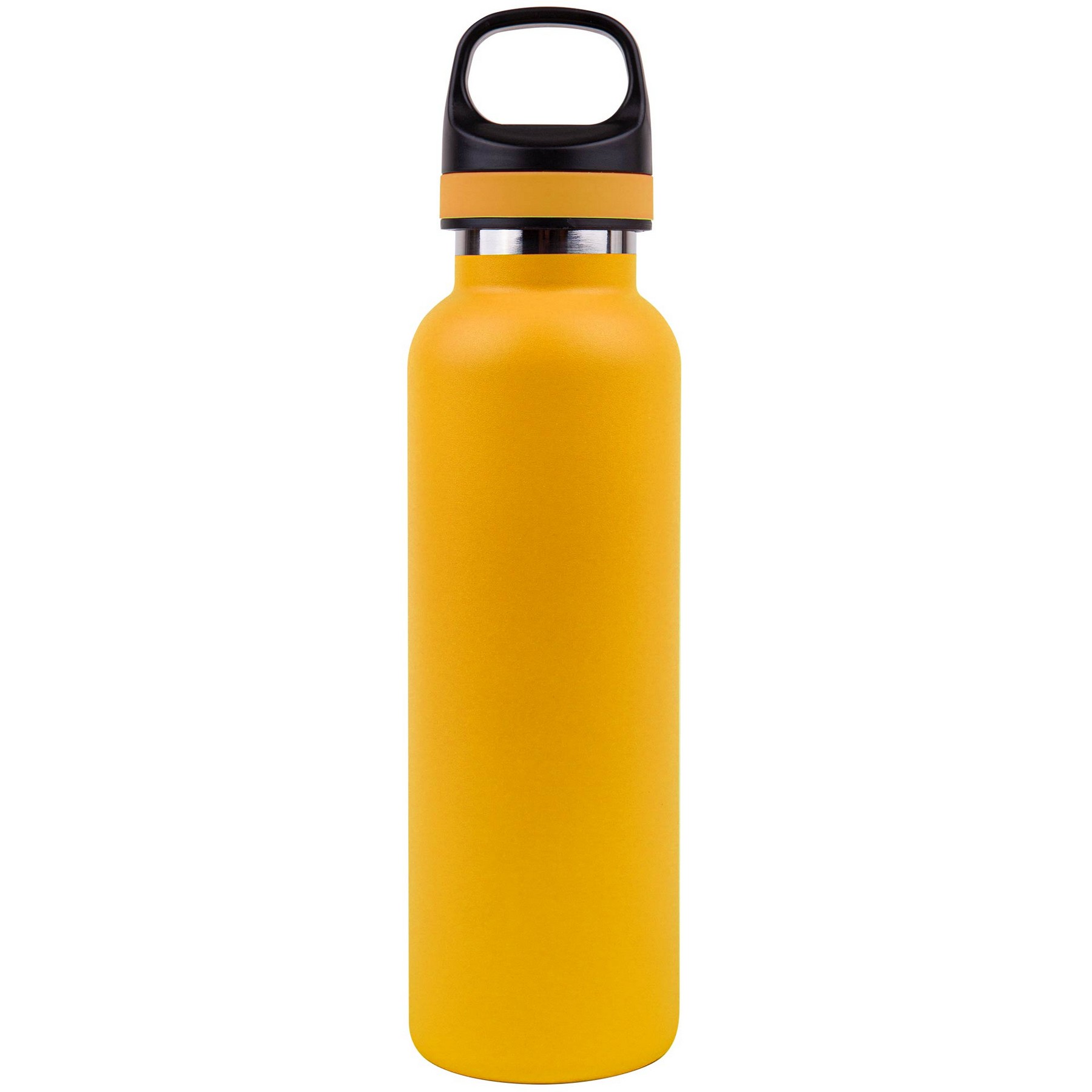Picture of 20 Oz. Embark Water Bottle & Twist Off Cap w/Handle