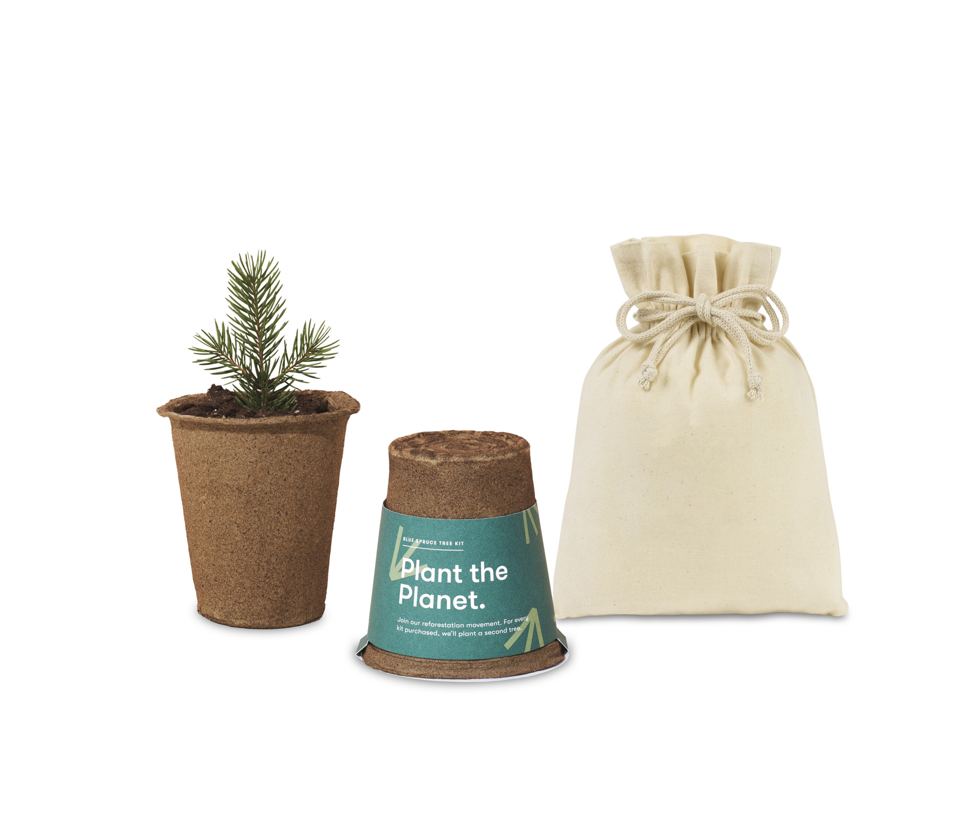 Picture of Modern Sprout One For One Tree Kits - Spruce