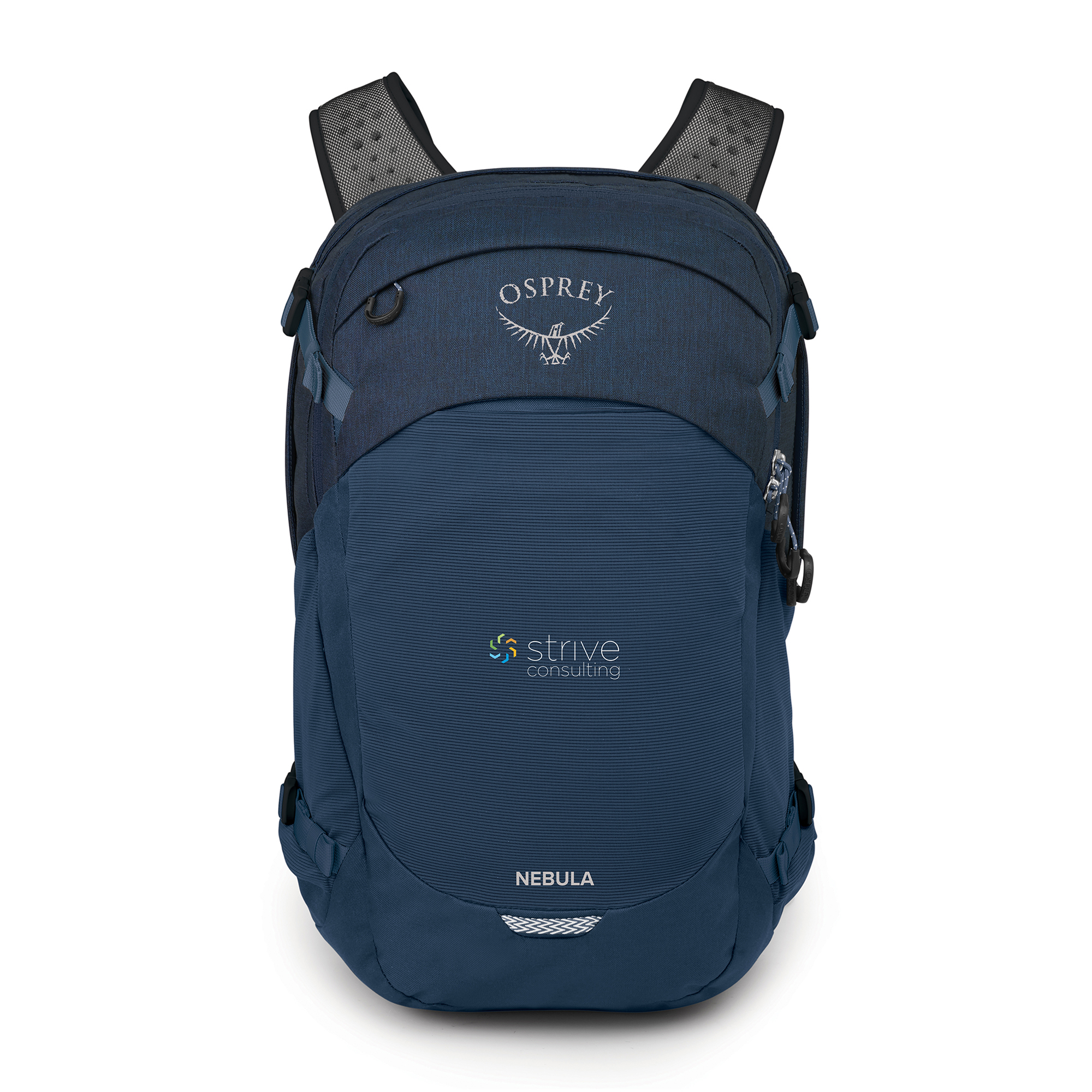 Picture of Osprey Nebula - Atlas Blue Heather