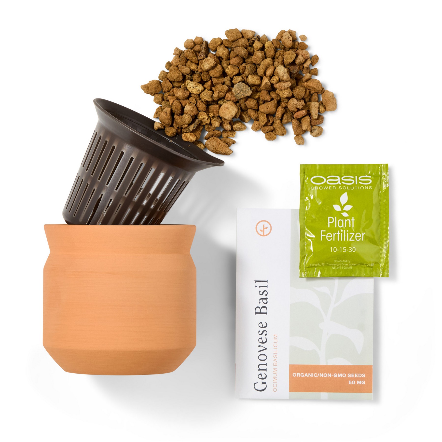 Picture of Modern Sprout Tiny Terracotta Big Congrats - Terracotta