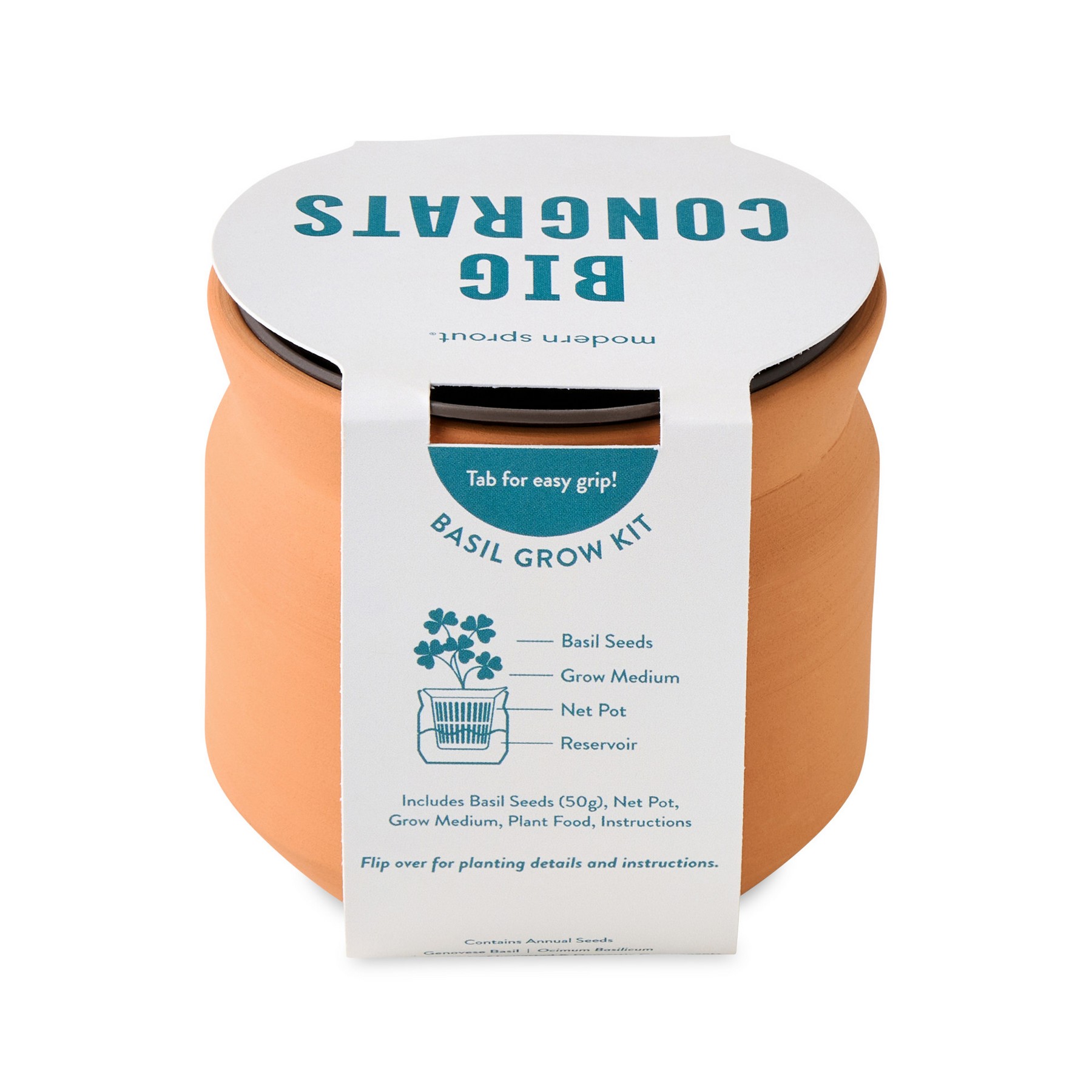 Picture of Modern Sprout Tiny Terracotta Big Congrats - Terracotta