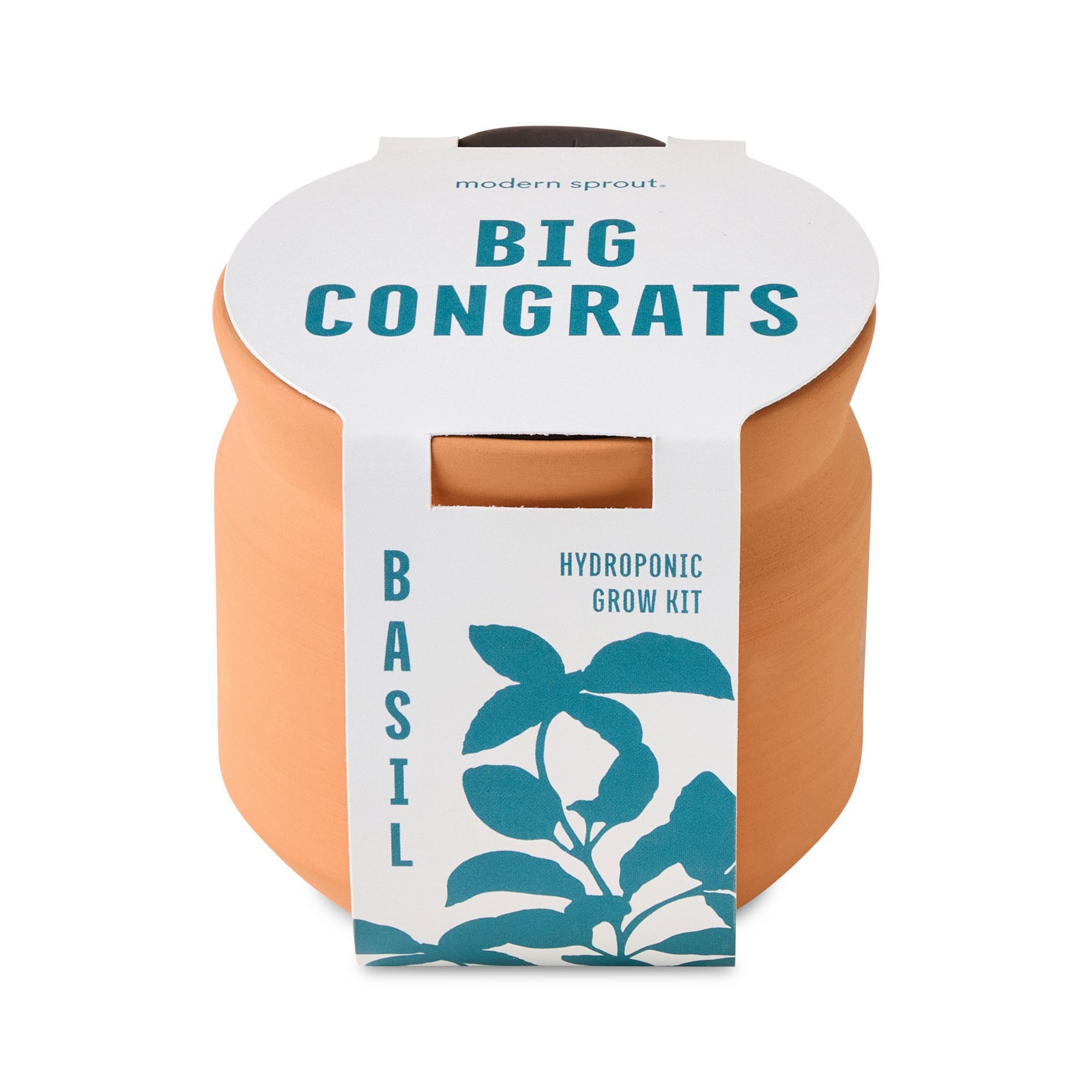 Picture of Modern Sprout Tiny Terracotta Big Congrats - Terracotta
