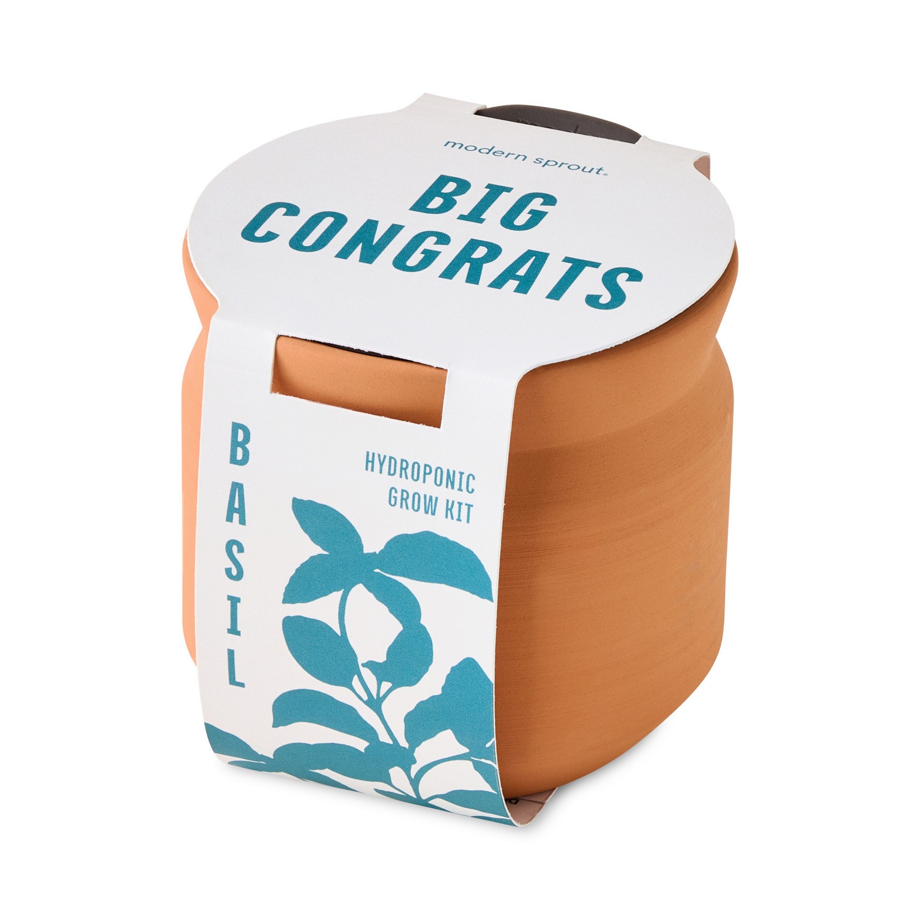 Picture of Modern Sprout Tiny Terracotta Big Congrats - Terracotta