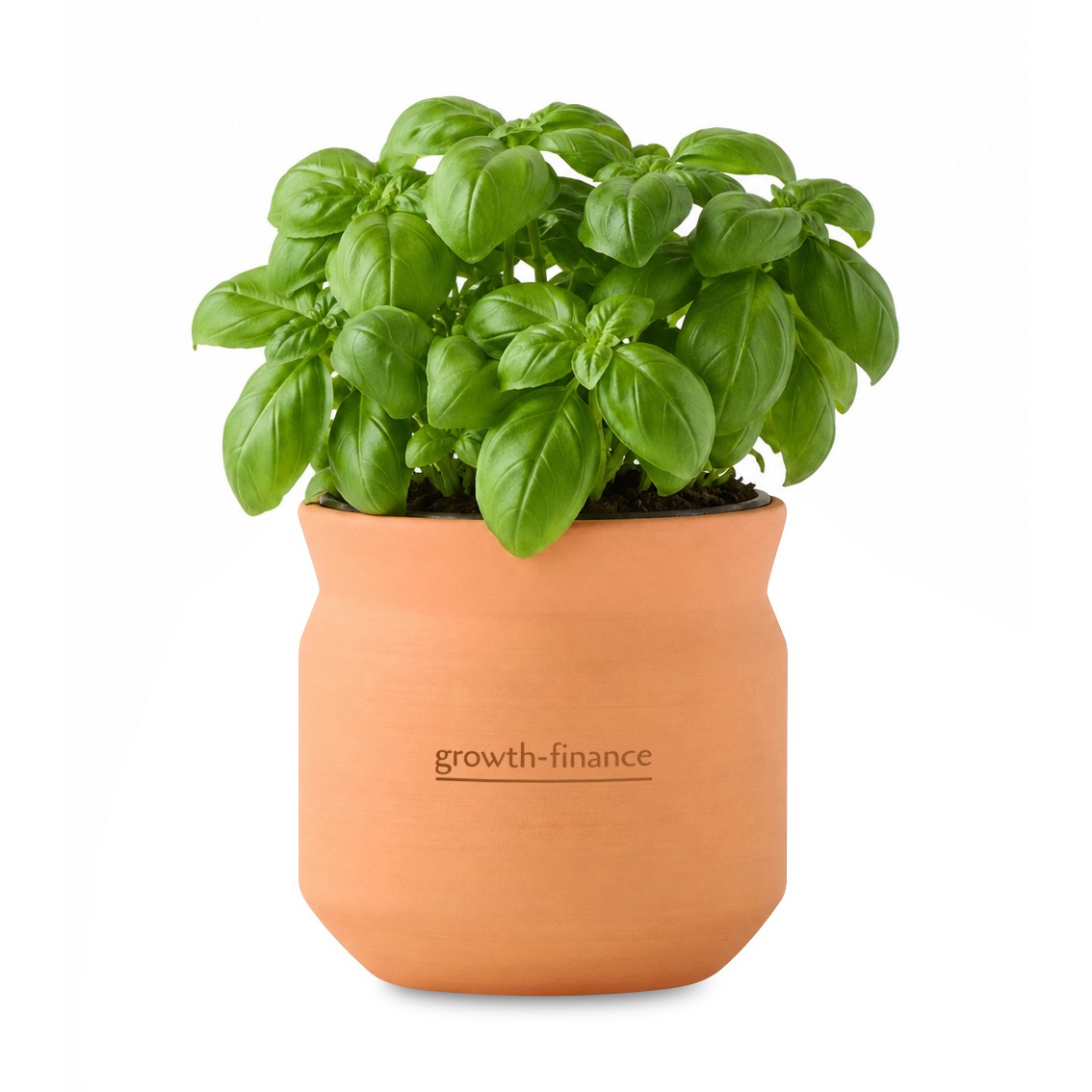 Picture of Modern Sprout Tiny Terracotta Big Congrats - Terracotta