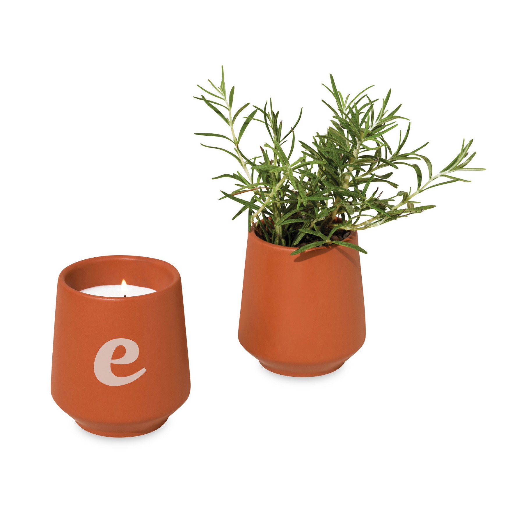 Picture of Modern Sprout Rooted Candle - Sienna-Rosemary