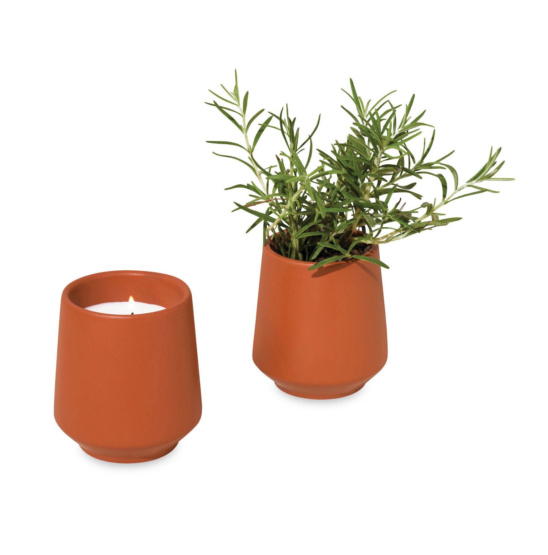 Picture of Modern Sprout Rooted Candle - Sienna-Rosemary