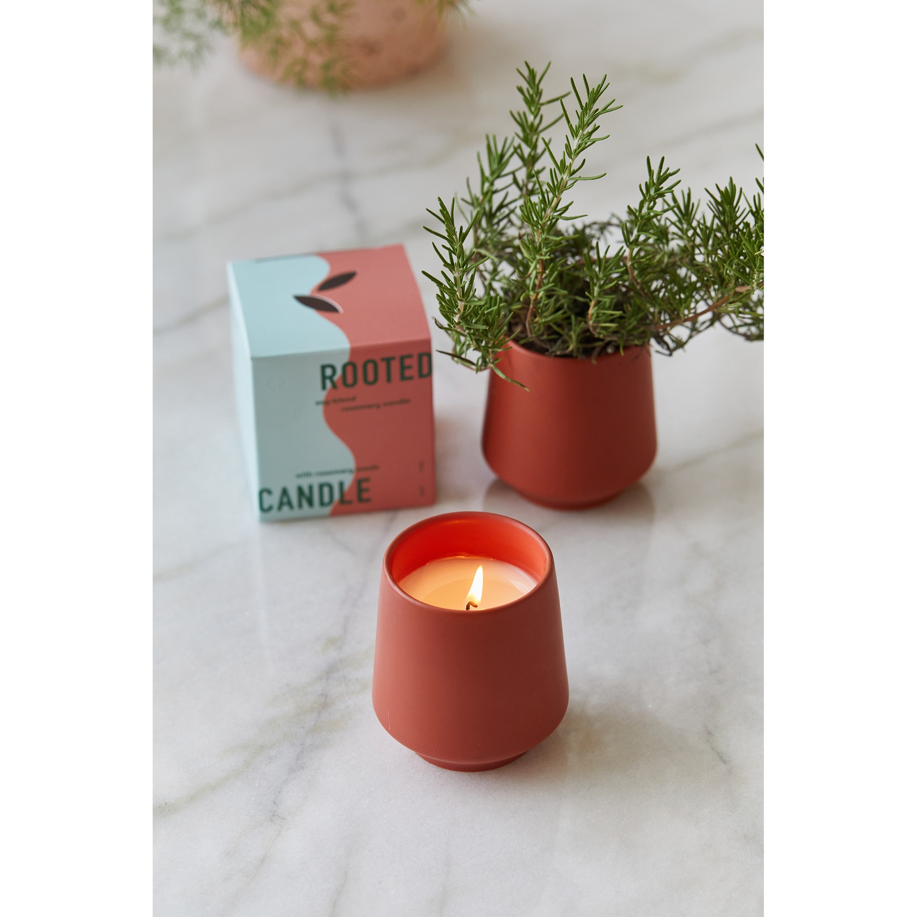 Picture of Modern Sprout Rooted Candle - Sienna-Rosemary