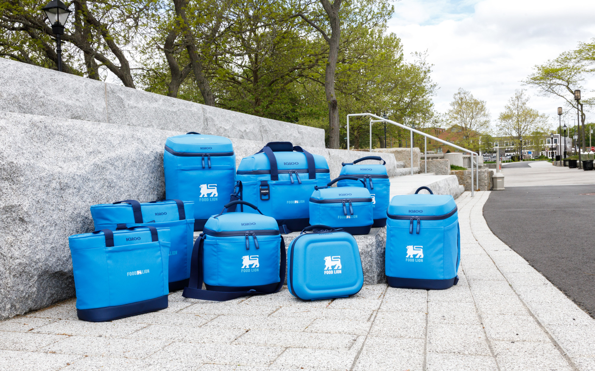 Picture of Igloo Day Chiller Recycled Poly Lunch Box - Brilliant Blue