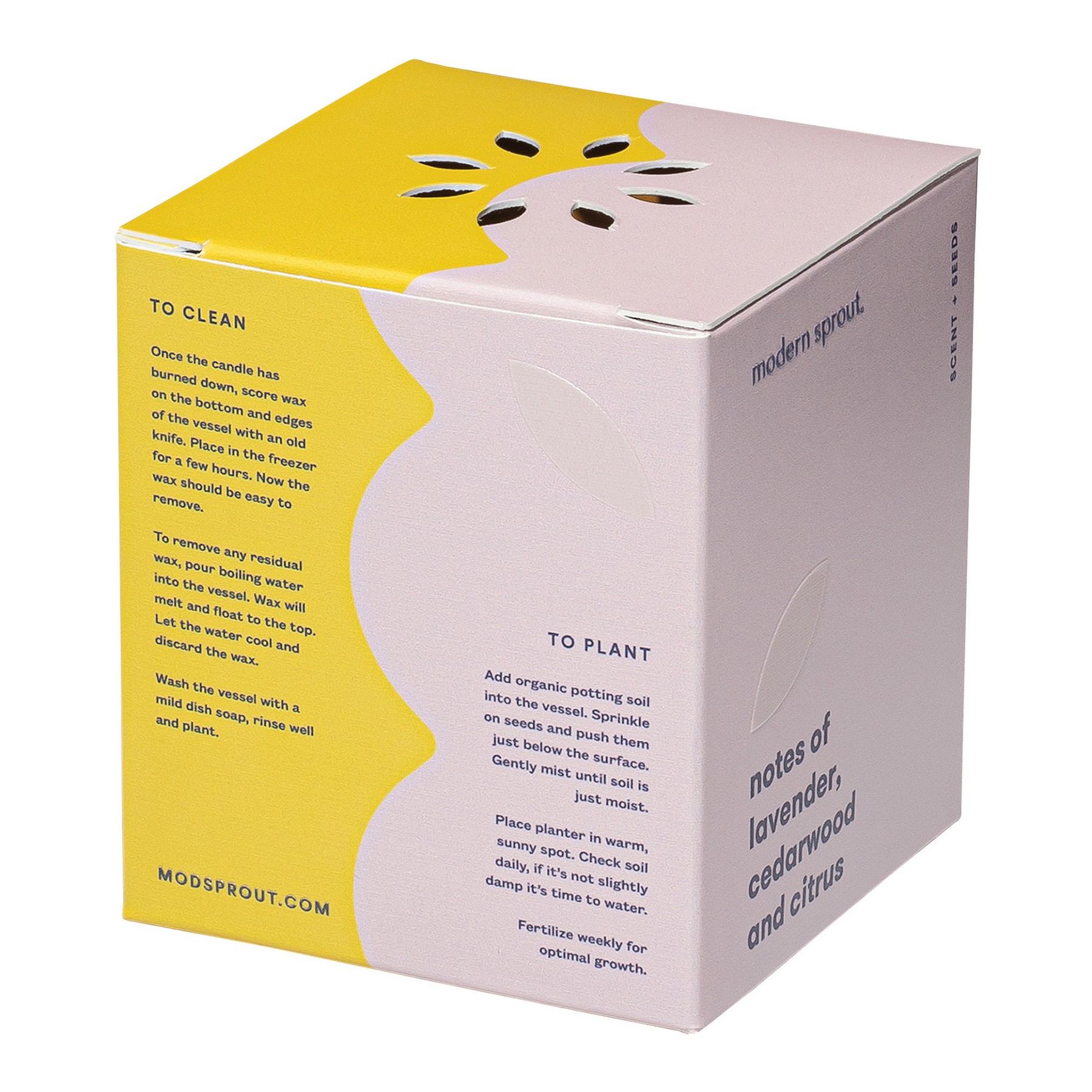 Picture of Modern Sprout Rooted Candle - Mustard-Lavender