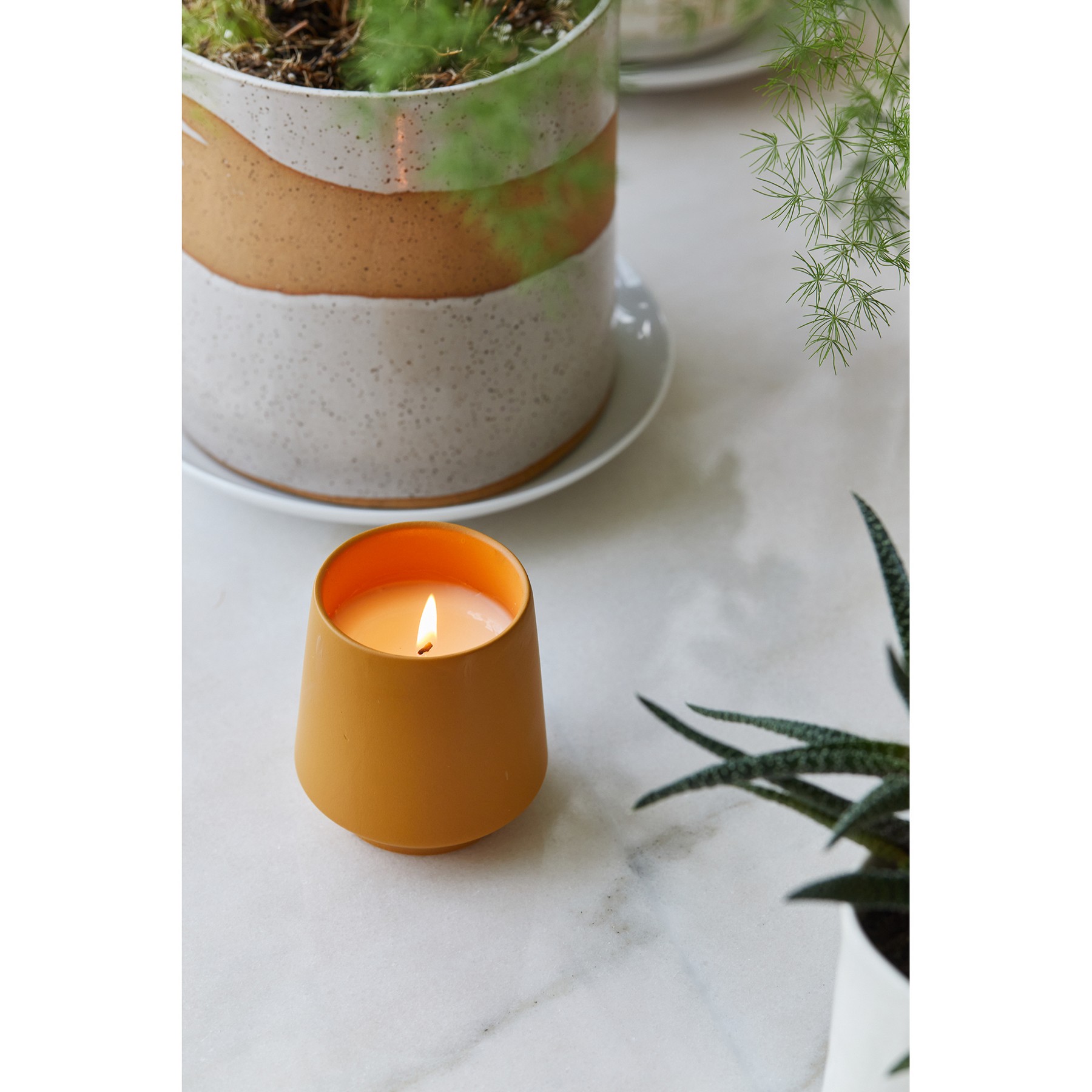 Picture of Modern Sprout Rooted Candle - Mustard-Lavender