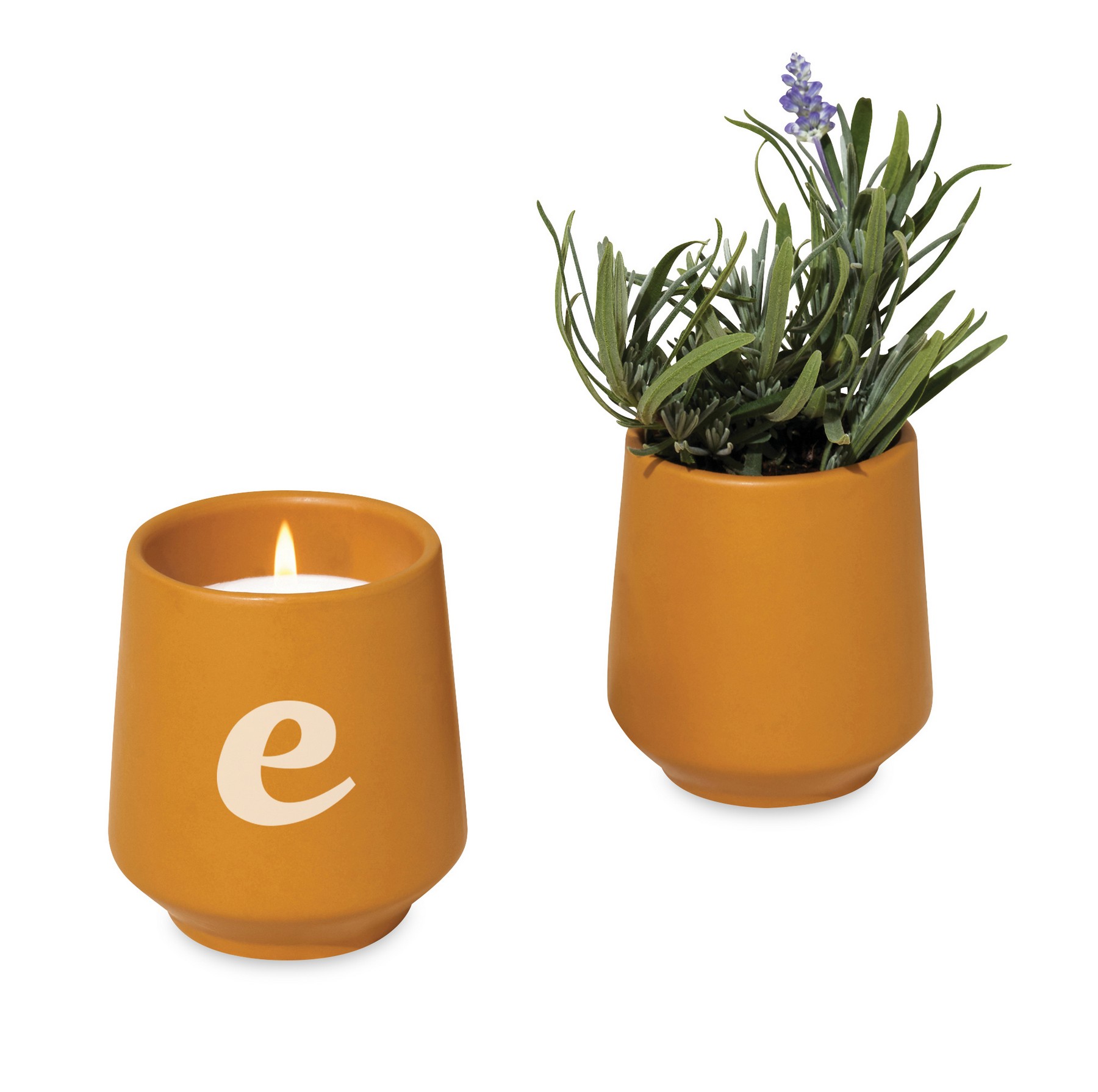 Picture of Modern Sprout Rooted Candle - Mustard-Lavender