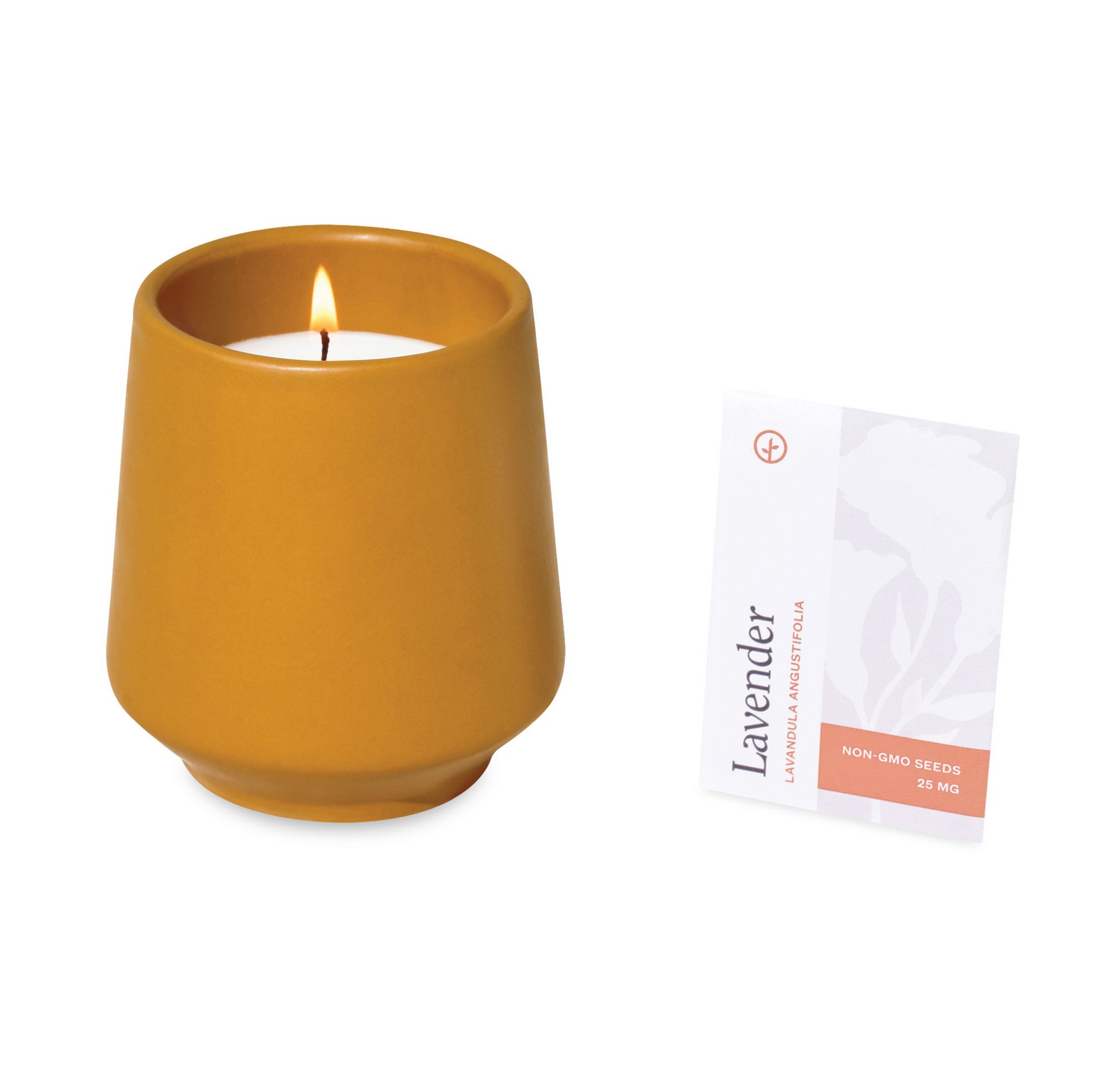 Picture of Modern Sprout Rooted Candle - Mustard-Lavender