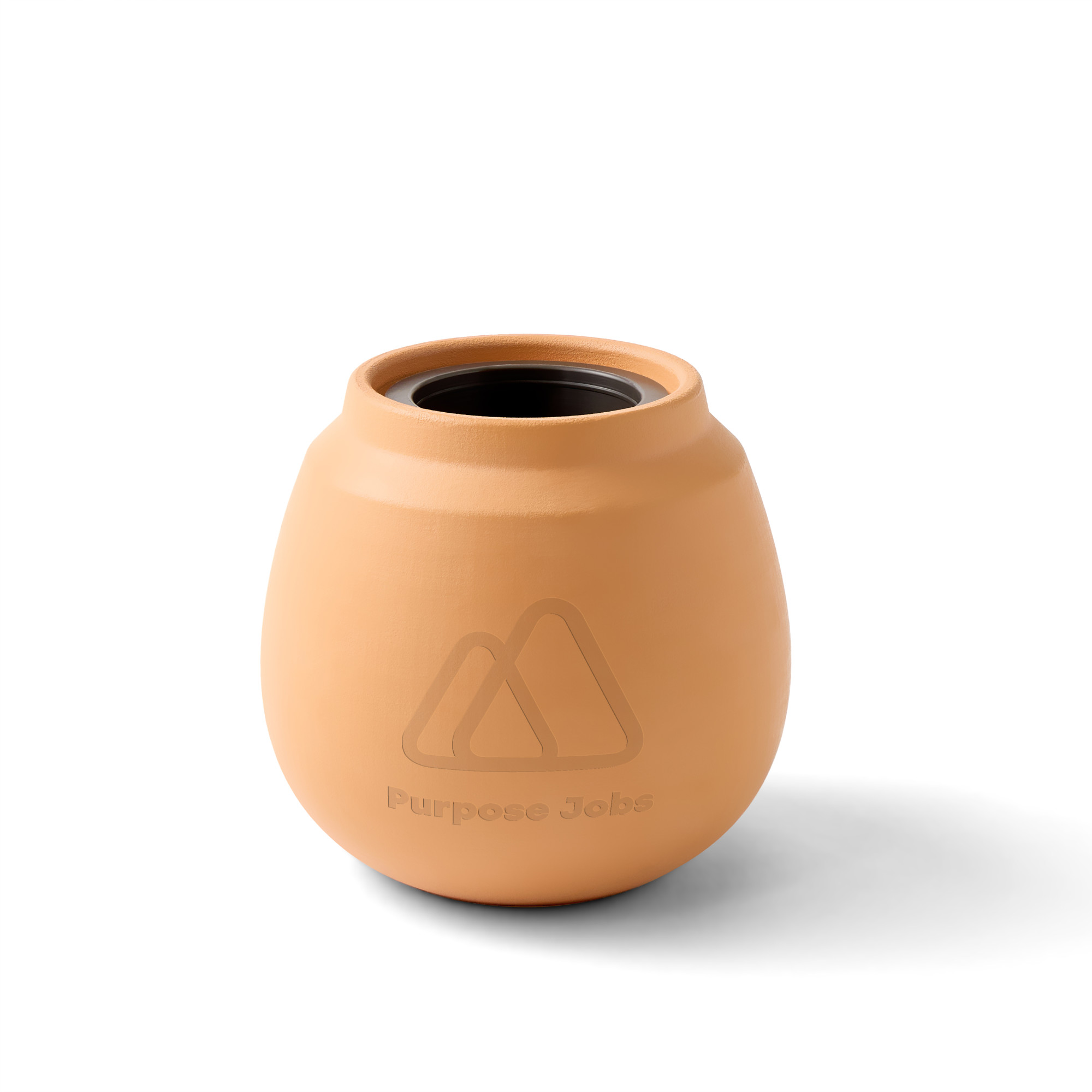 Picture of Modern Sprout Modern Terracotta Grow Kit Cactus - Terracotta