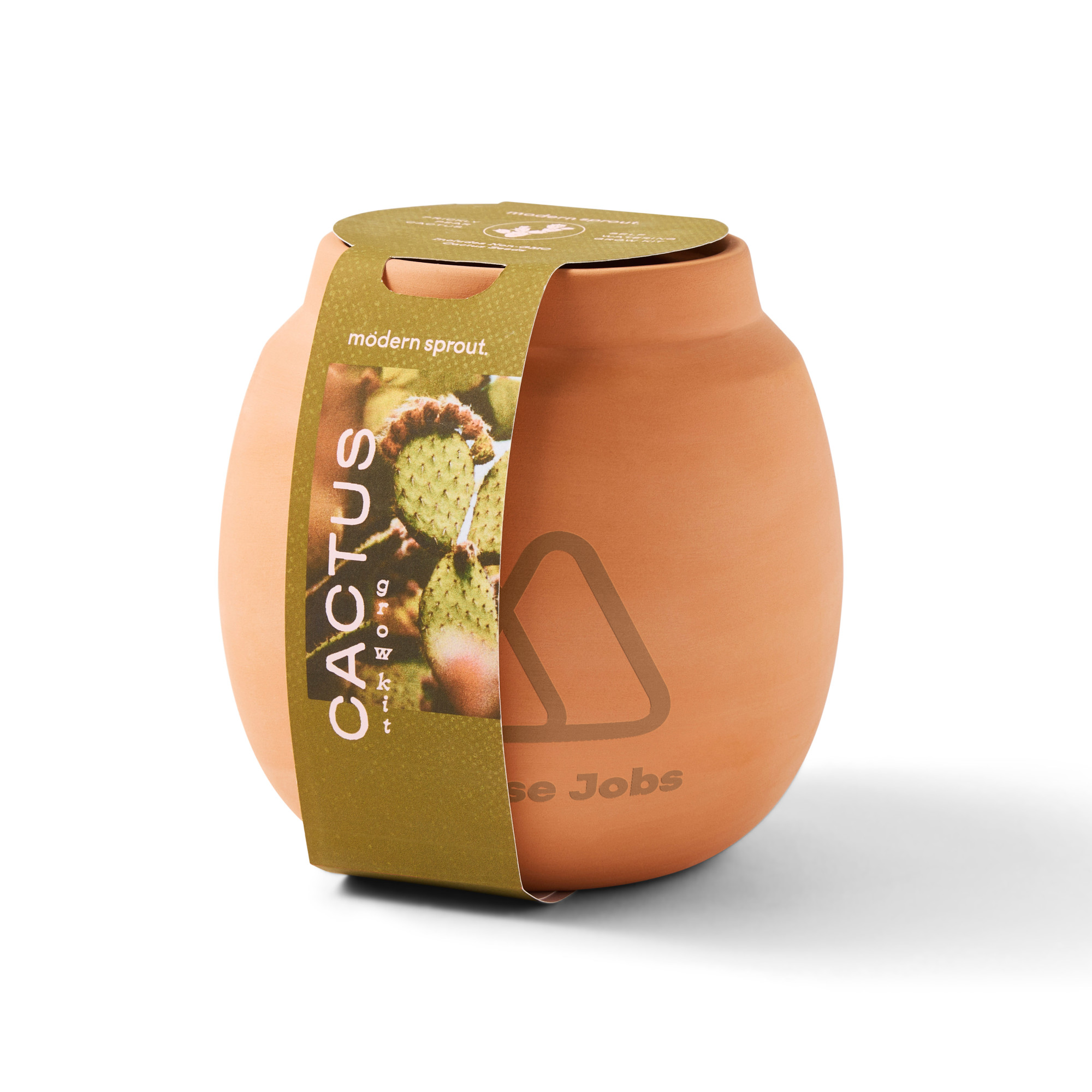 Picture of Modern Sprout Modern Terracotta Grow Kit Cactus - Terracotta