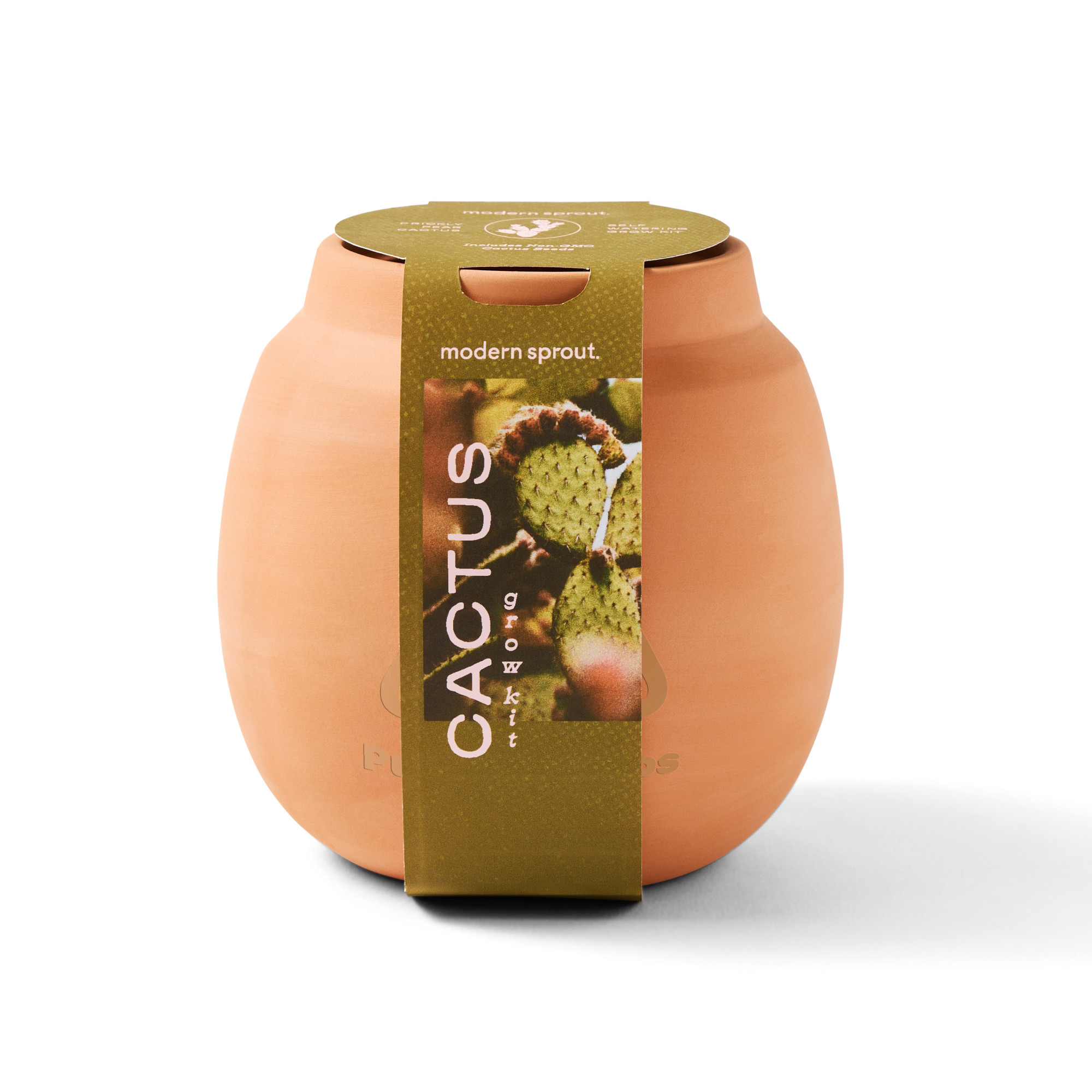 Picture of Modern Sprout Modern Terracotta Grow Kit Cactus - Terracotta