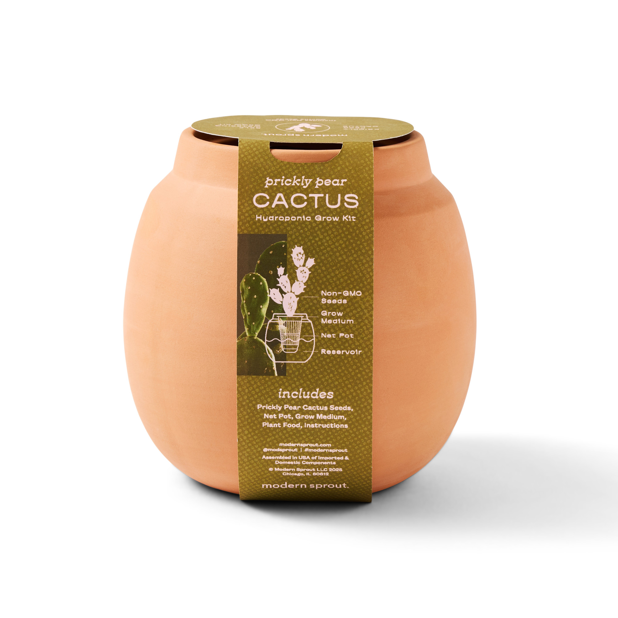Picture of Modern Sprout Modern Terracotta Grow Kit Cactus - Terracotta