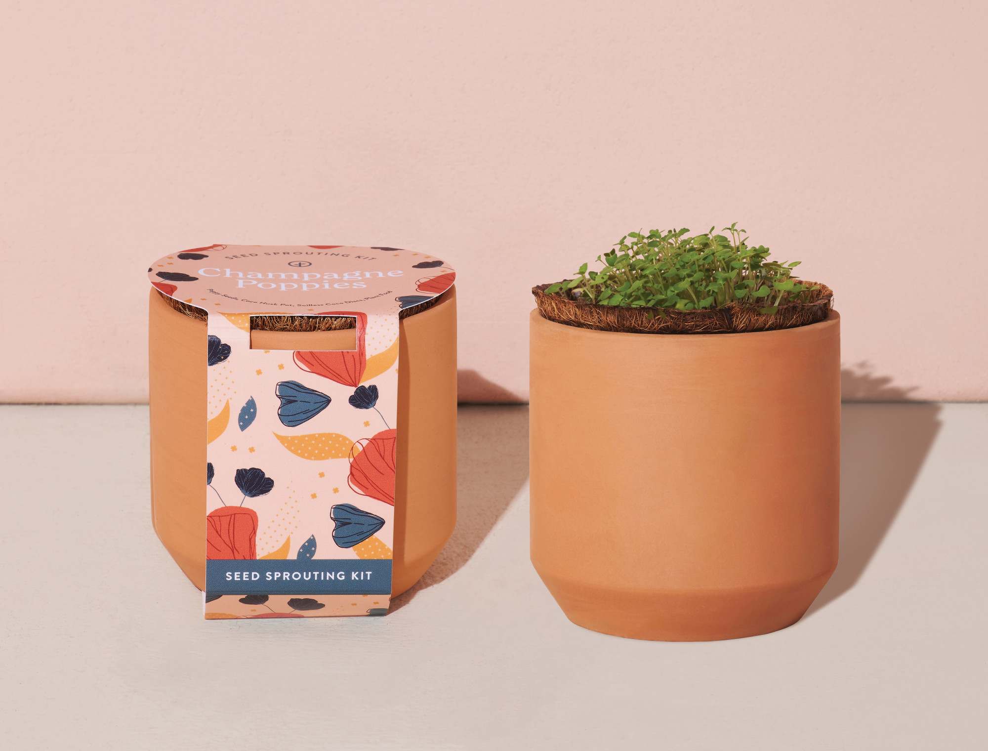 Picture of Modern Sprout Tiny Terracotta Grow Kit Champagne Poppies - Terracotta