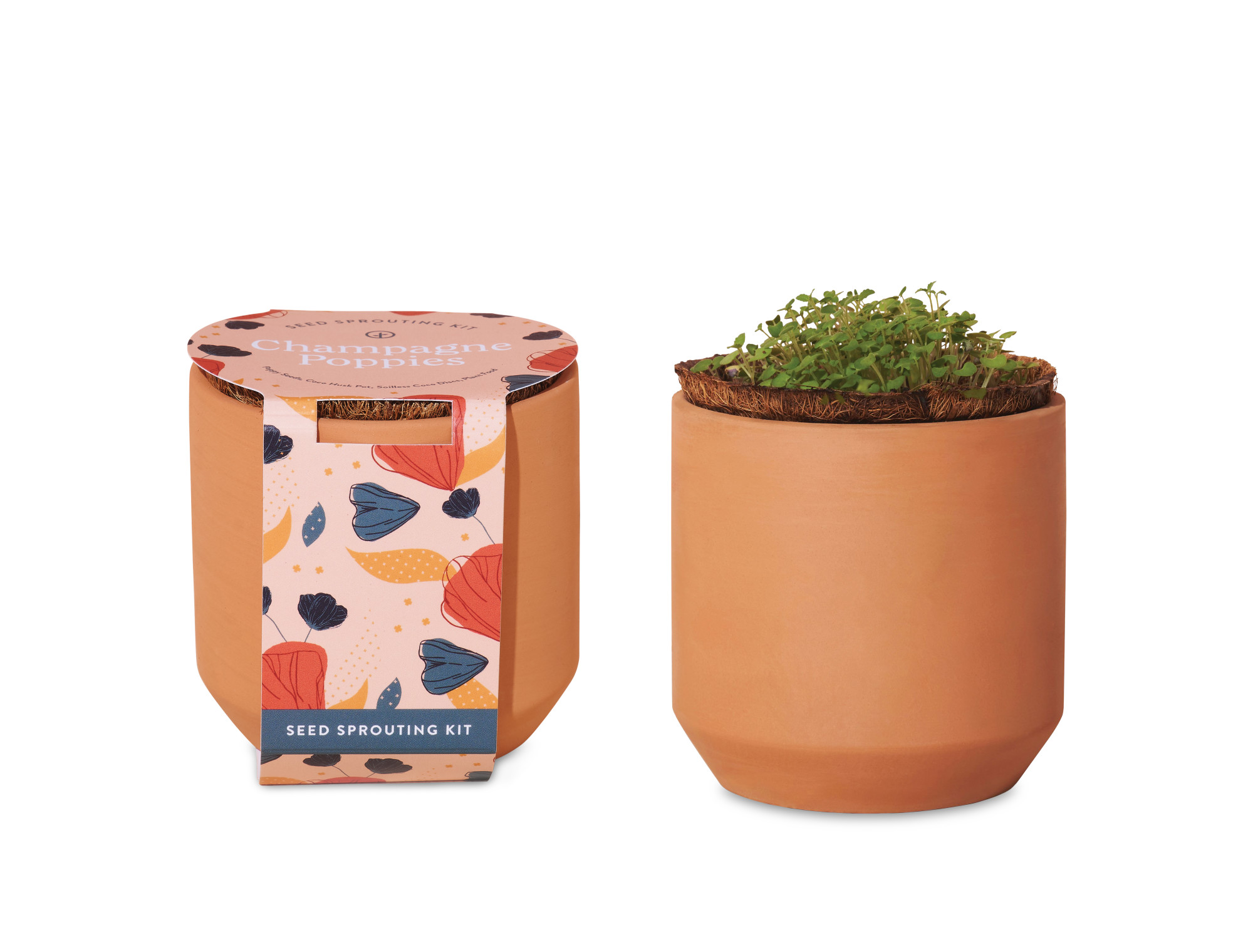 Picture of Modern Sprout Tiny Terracotta Grow Kit Champagne Poppies - Terracotta