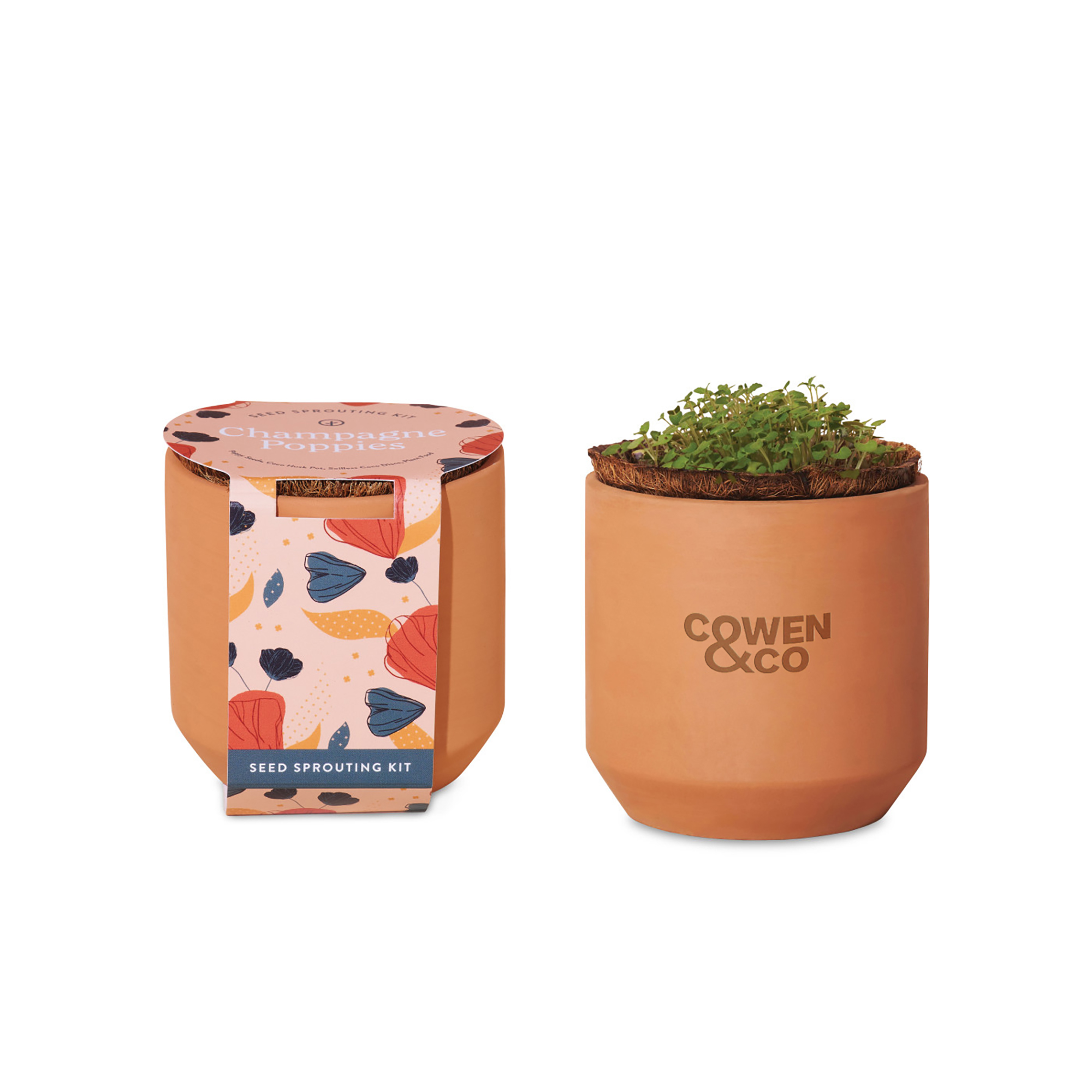 Picture of Modern Sprout Tiny Terracotta Grow Kit Champagne Poppies - Terracotta