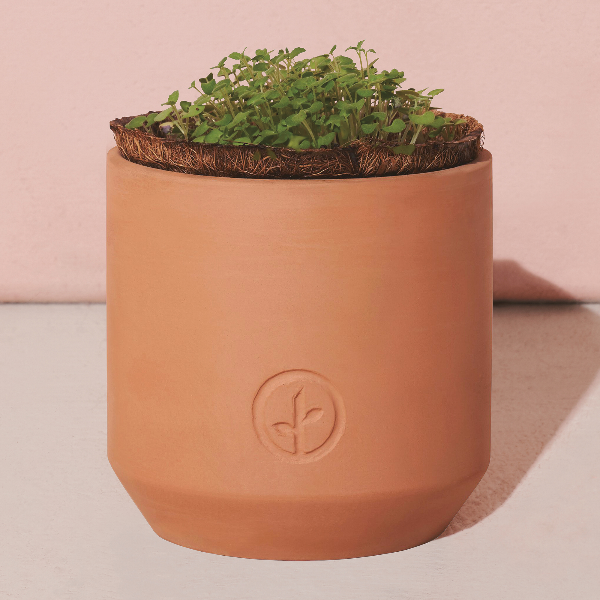 Picture of Modern Sprout Tiny Terracotta Grow Kit Champagne Poppies - Terracotta