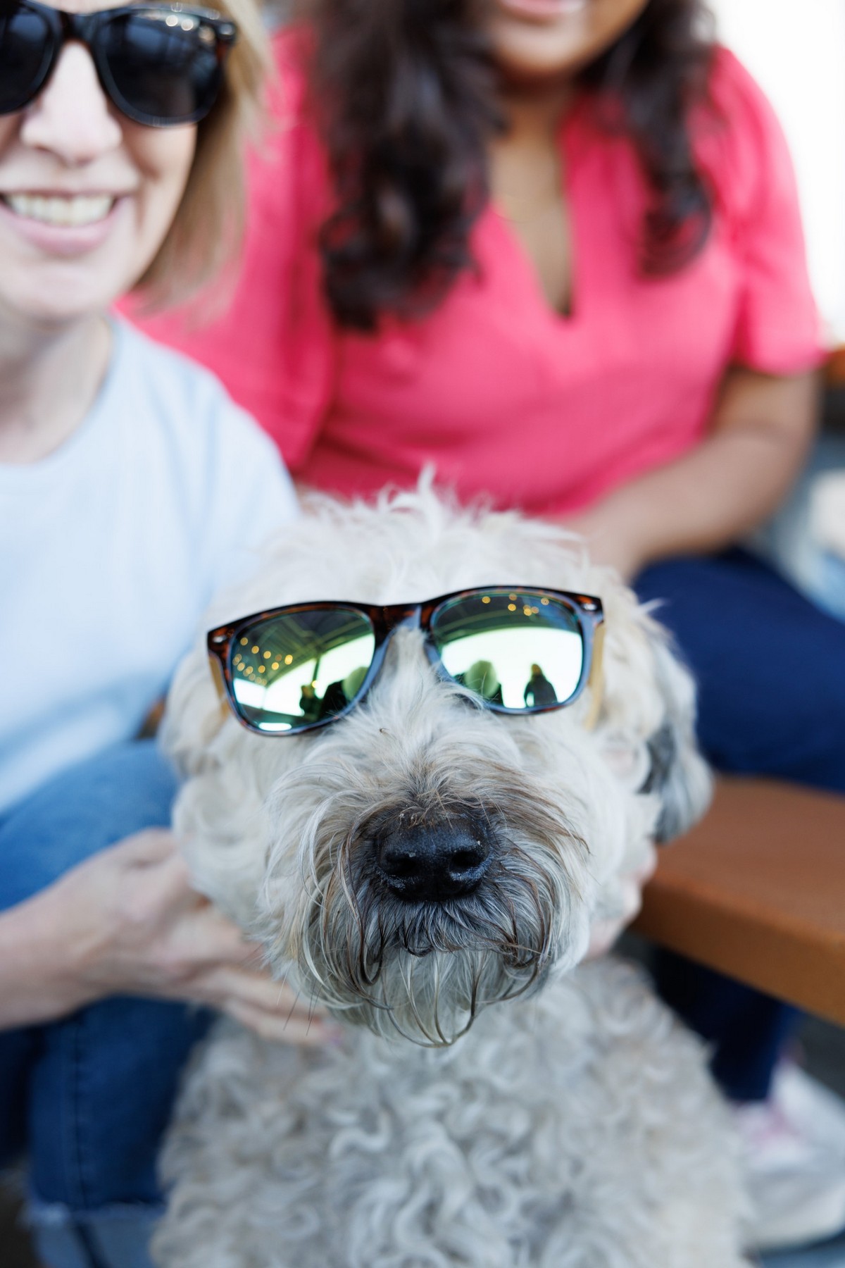Picture of CapeShades Recycled Bamboo Sunglasses Black Frame - Green