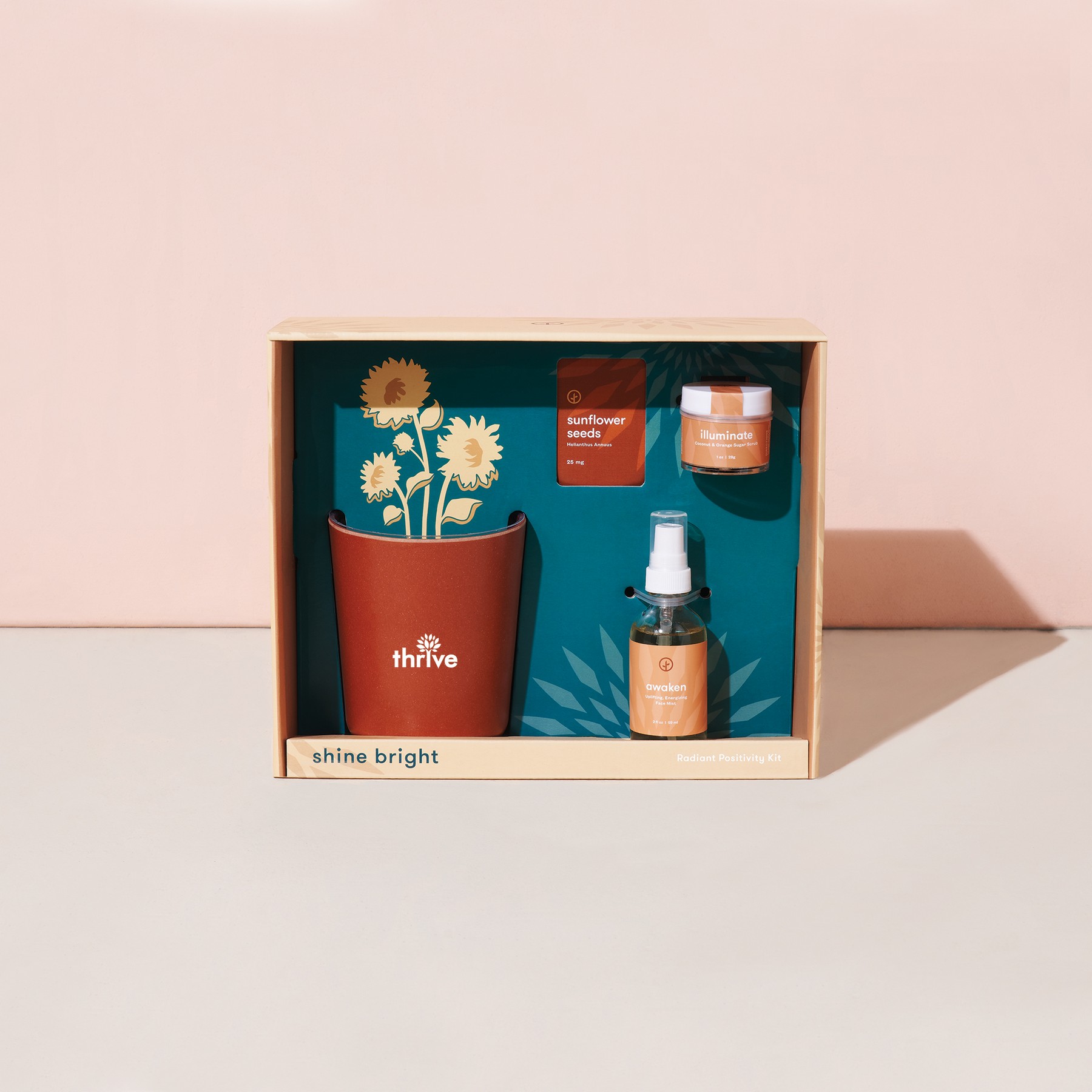 Picture of Modern Sprout Shine Bright Take Care Kit - Sunflower - Shine Bright Sunflower