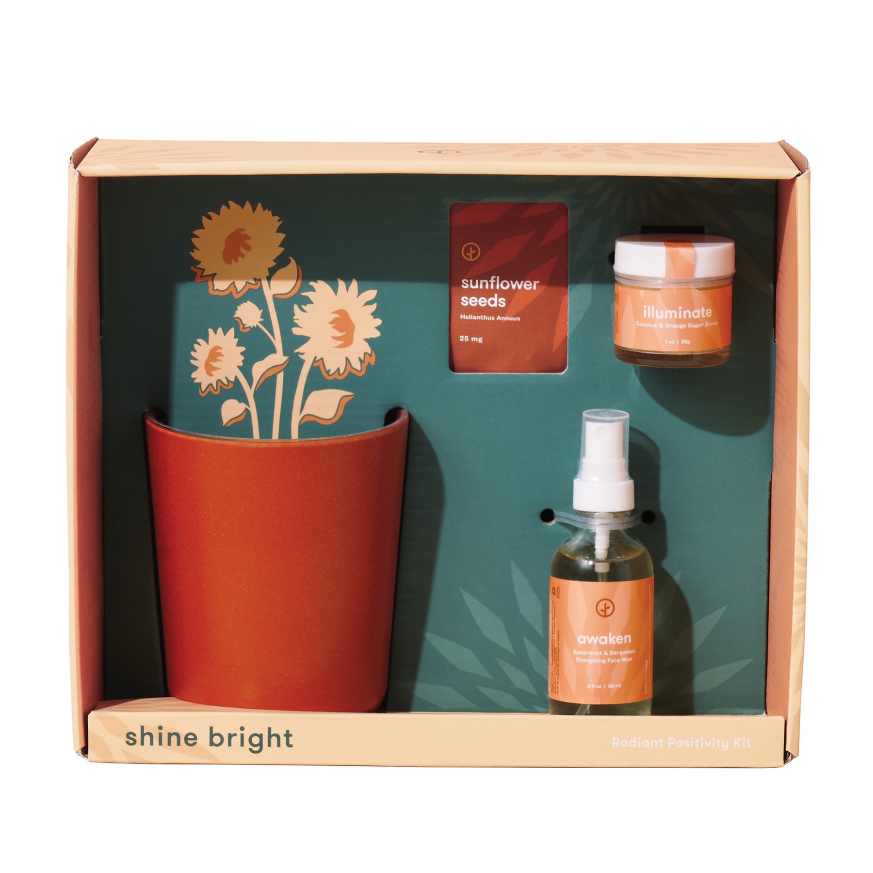 Picture of Modern Sprout Shine Bright Take Care Kit - Sunflower - Shine Bright Sunflower